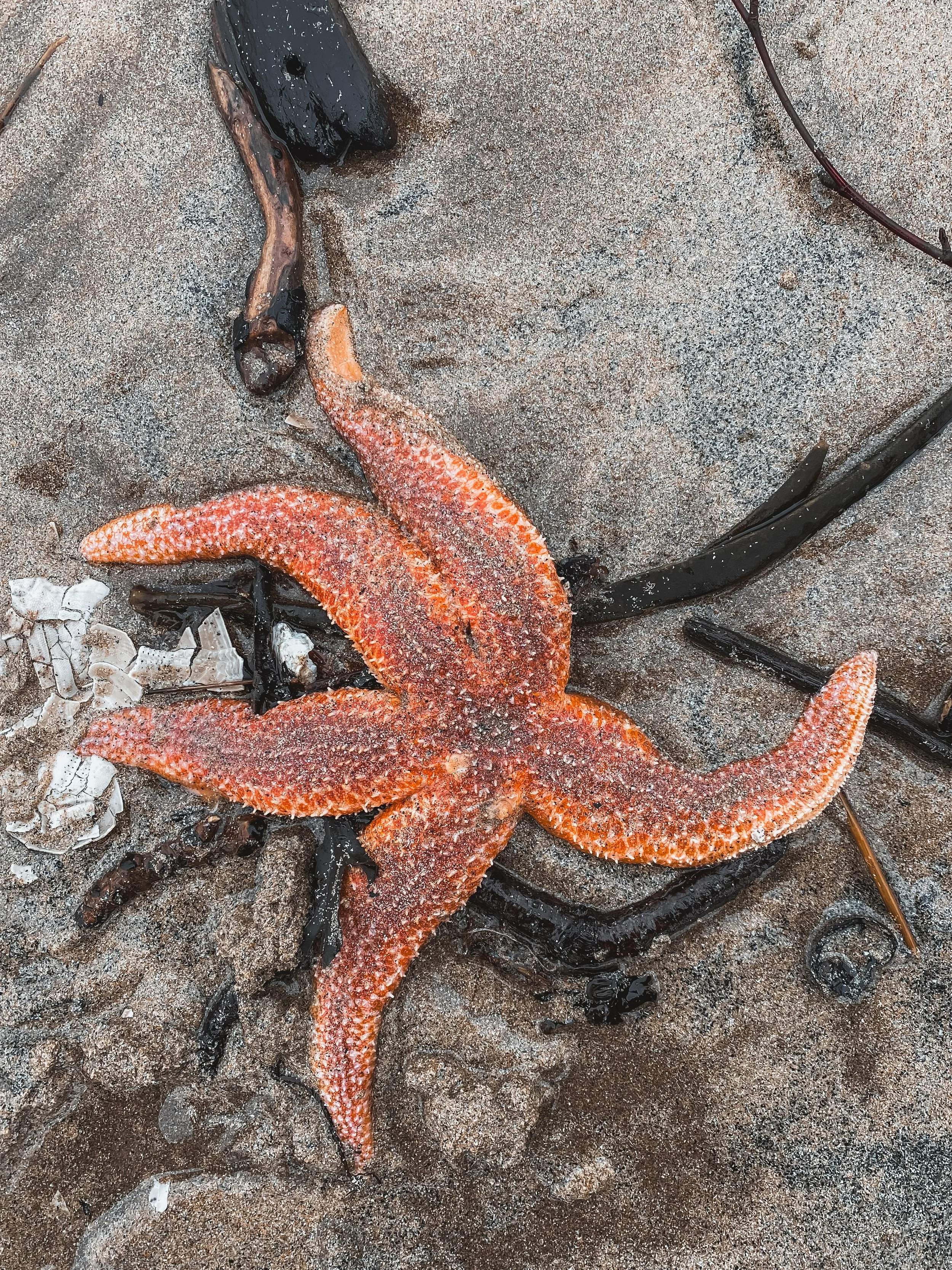 IMG_9996.JPG