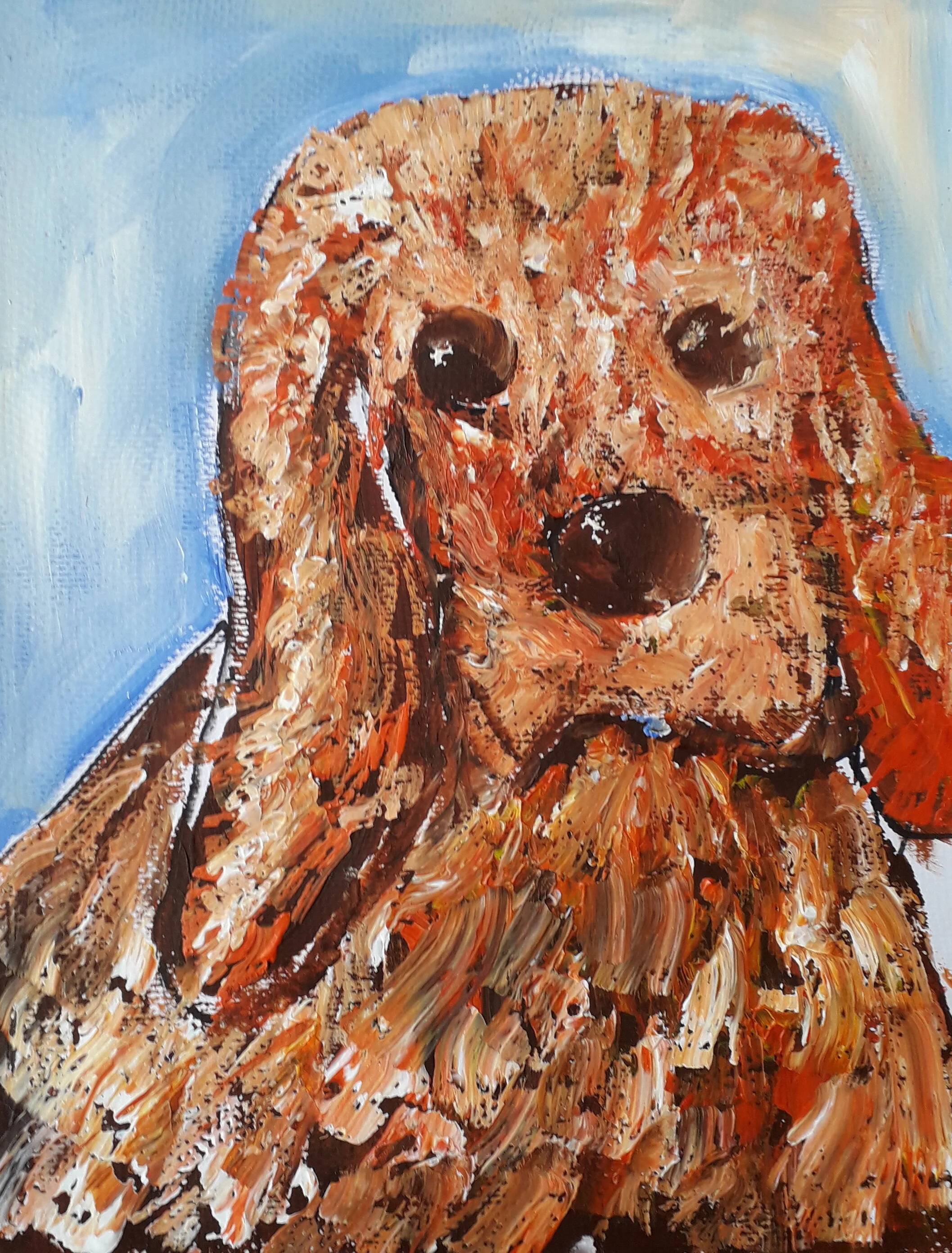 Tricia's ''Charlie''.jpg