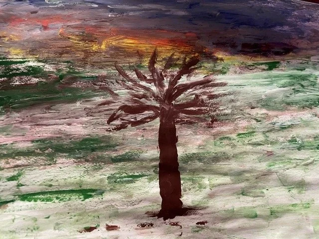 Winter scene Jan 2024.jpeg