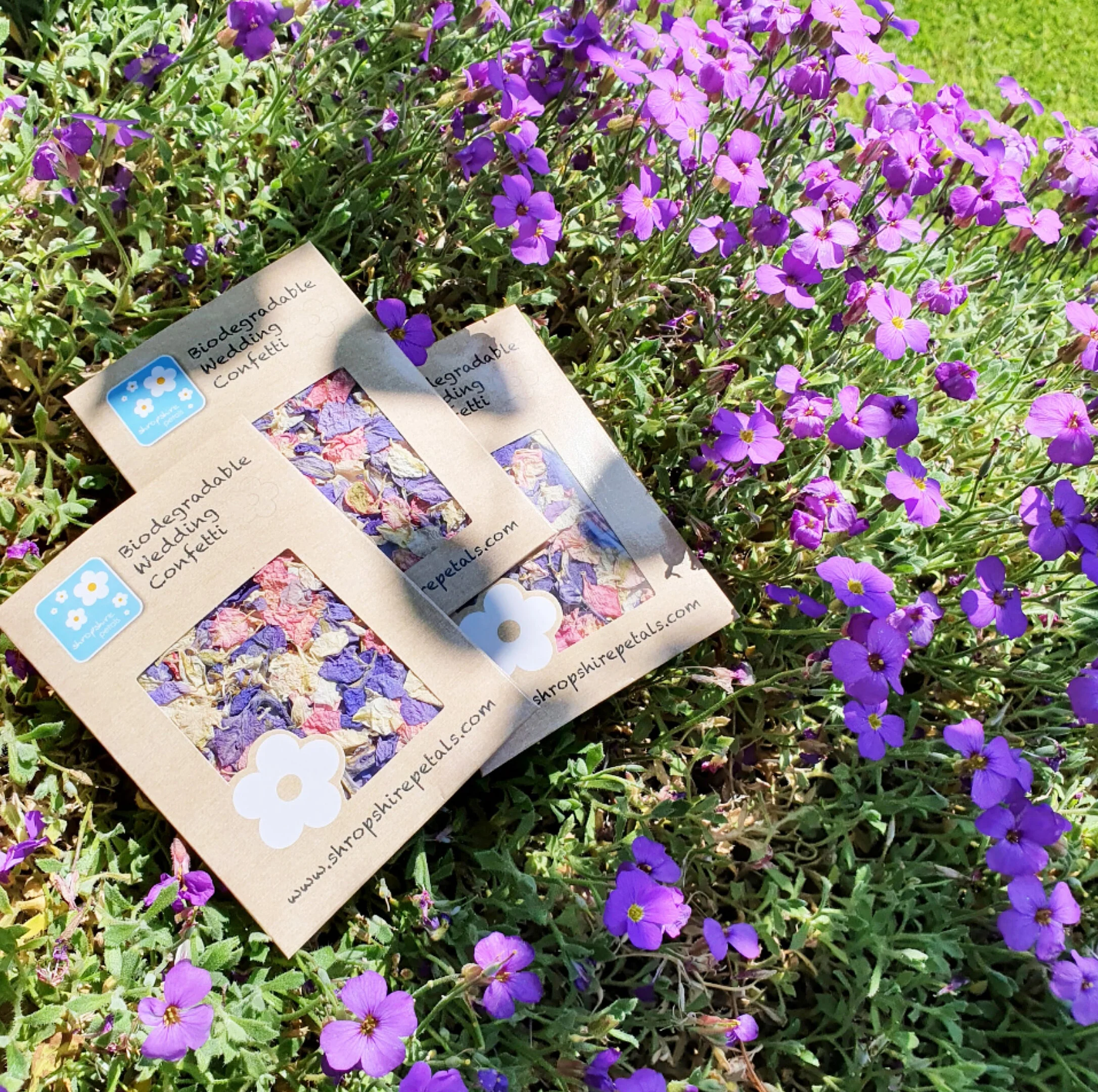 The IT list: New addition - Shropshire petals