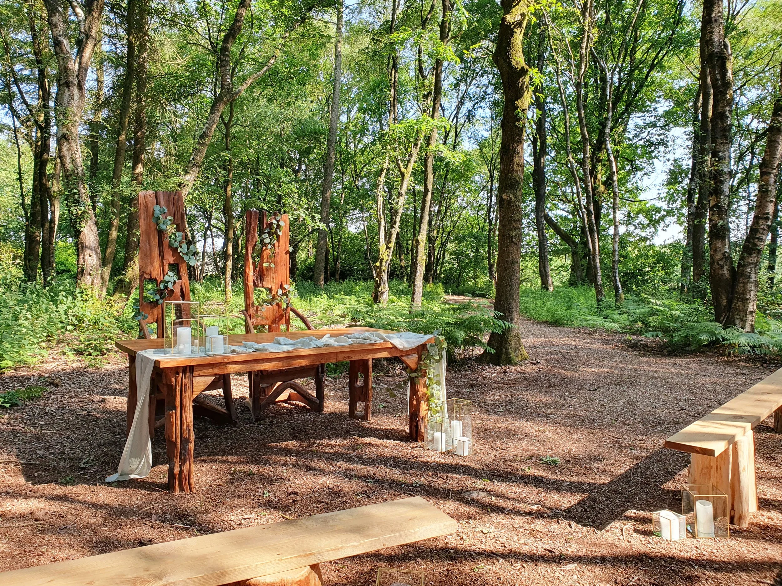 The Enchanted Woodland