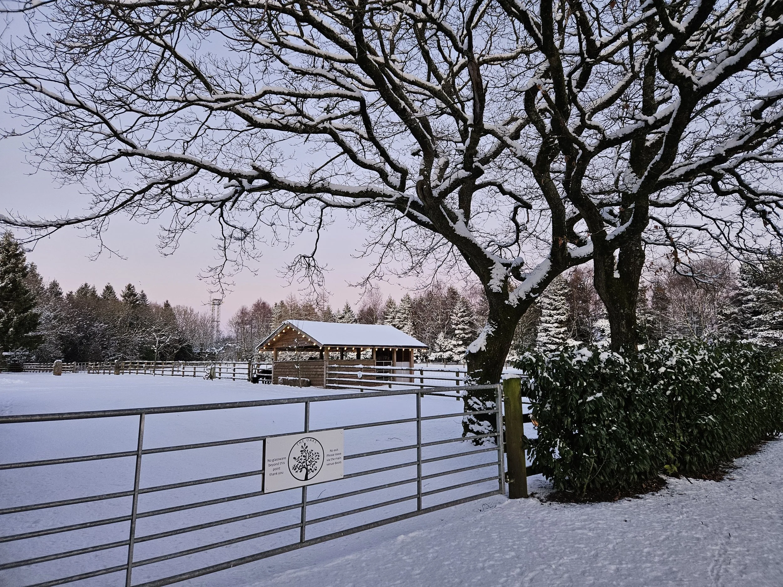 January at The Oaks Barn