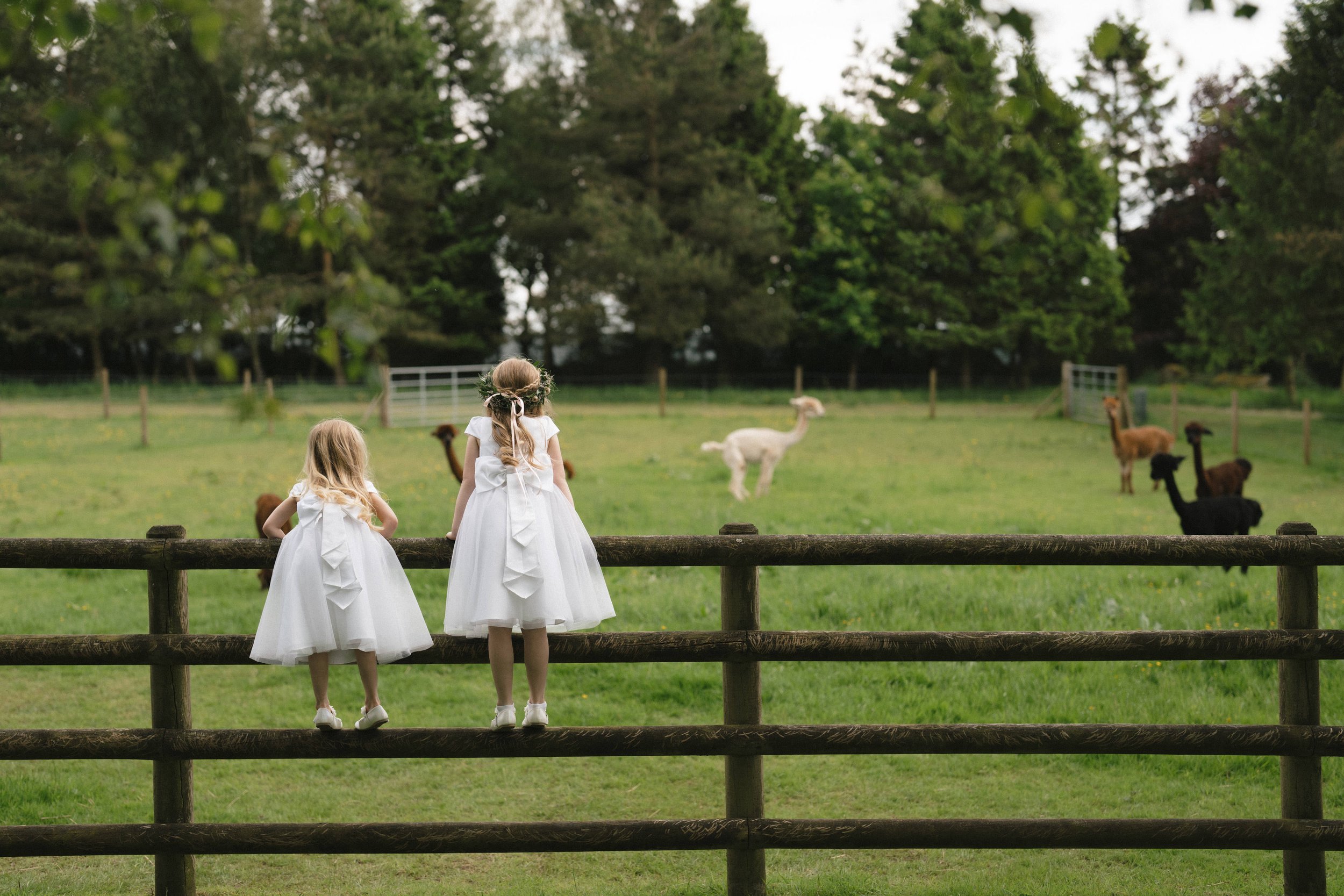 Nichole + James -187.jpg