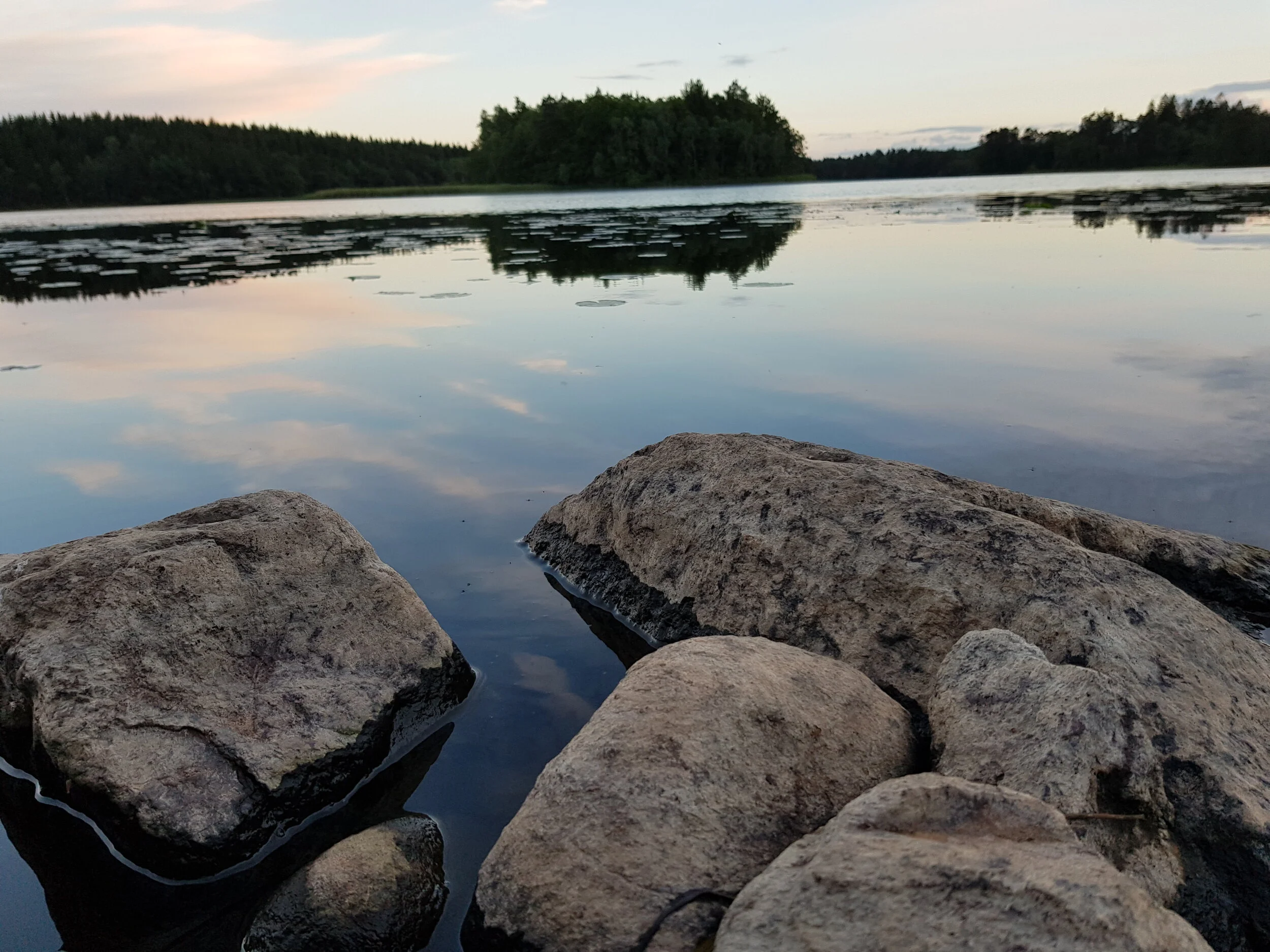 20180622_213805.jpeg