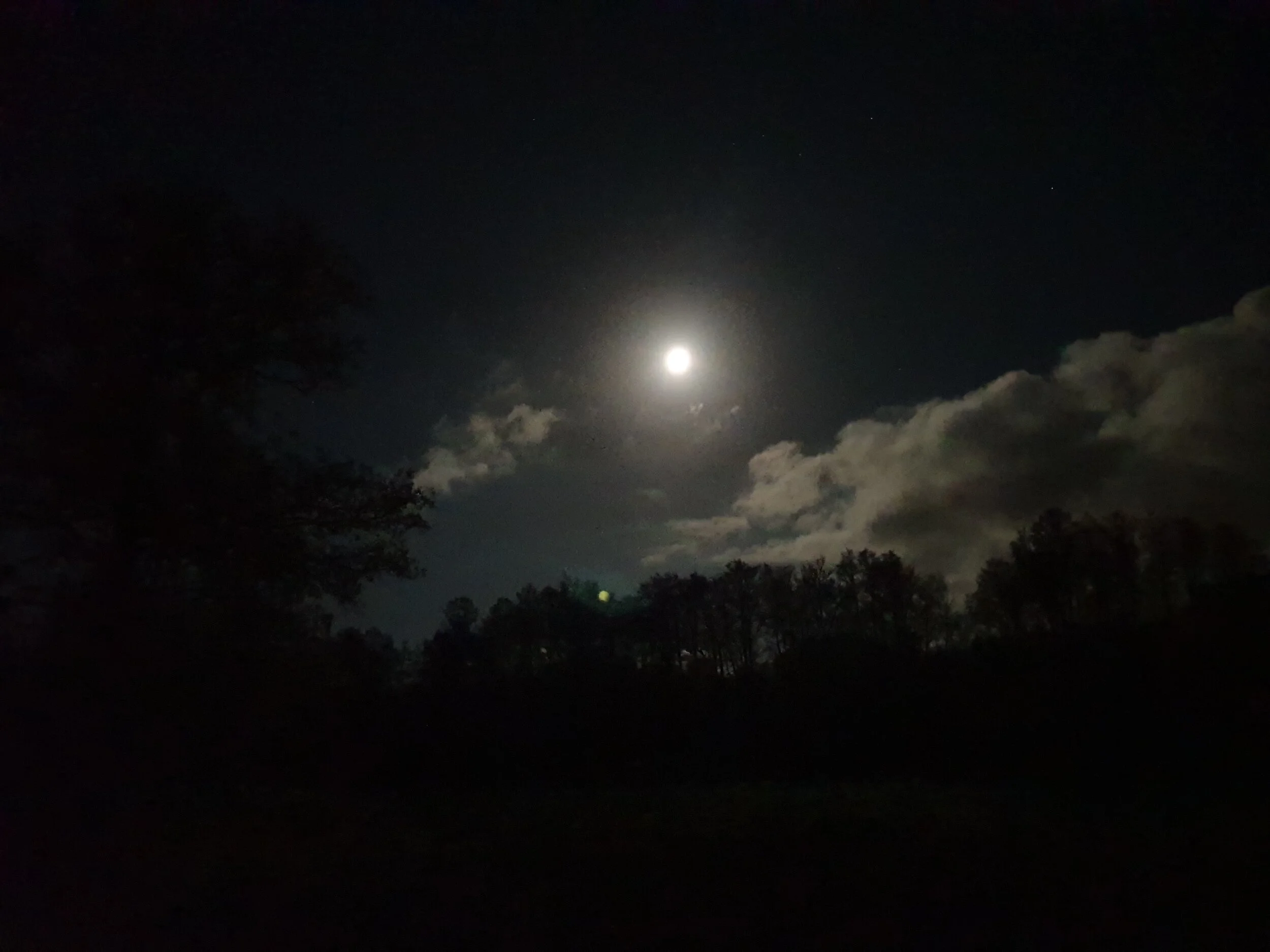 oro måne mörker himmel.jpeg