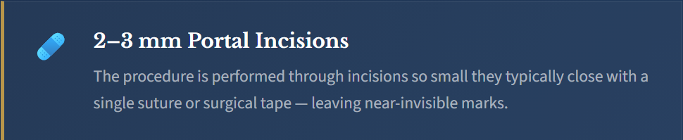 Text about 2-3 mm portal incisions explaining that the procedure involves small incisions closed with sutures or tape, leaving near-invisible marks.