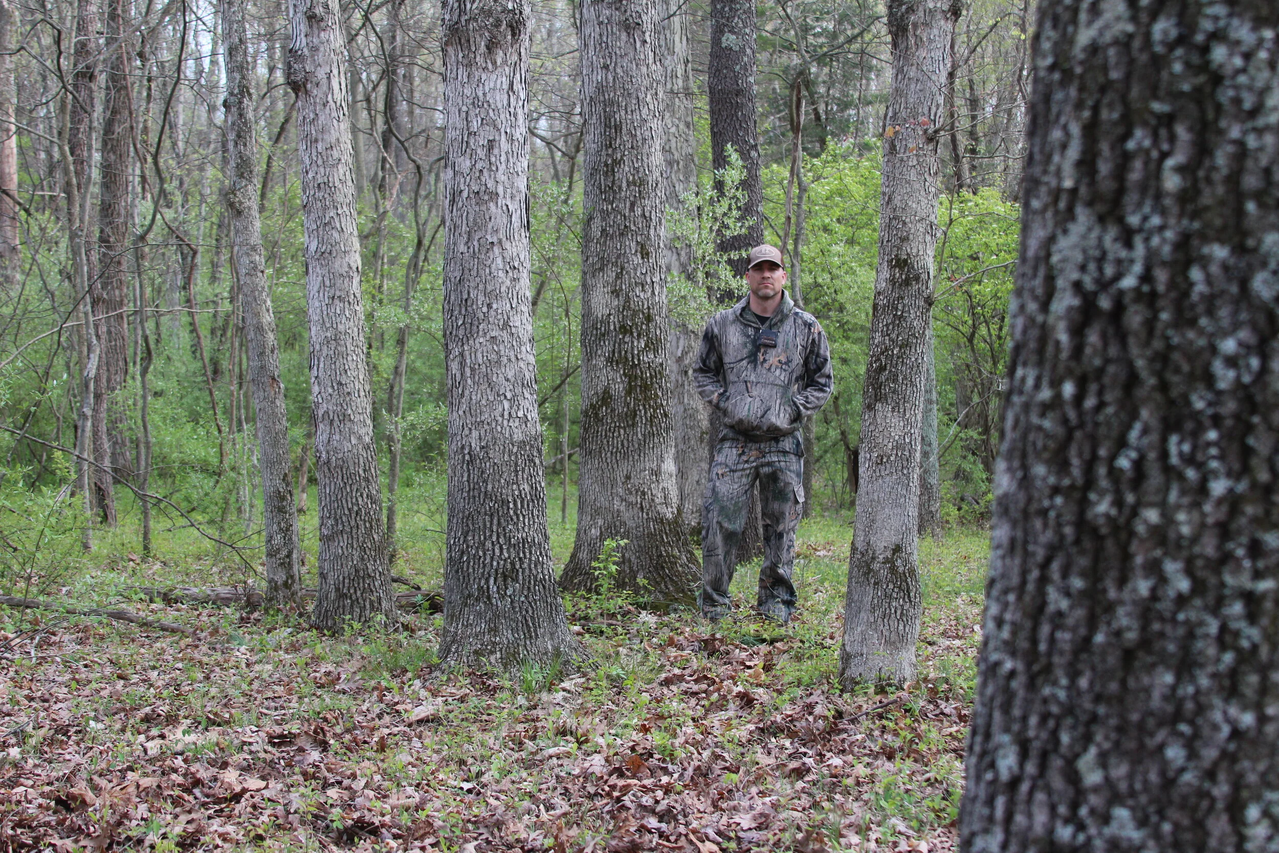 check out our new test pics