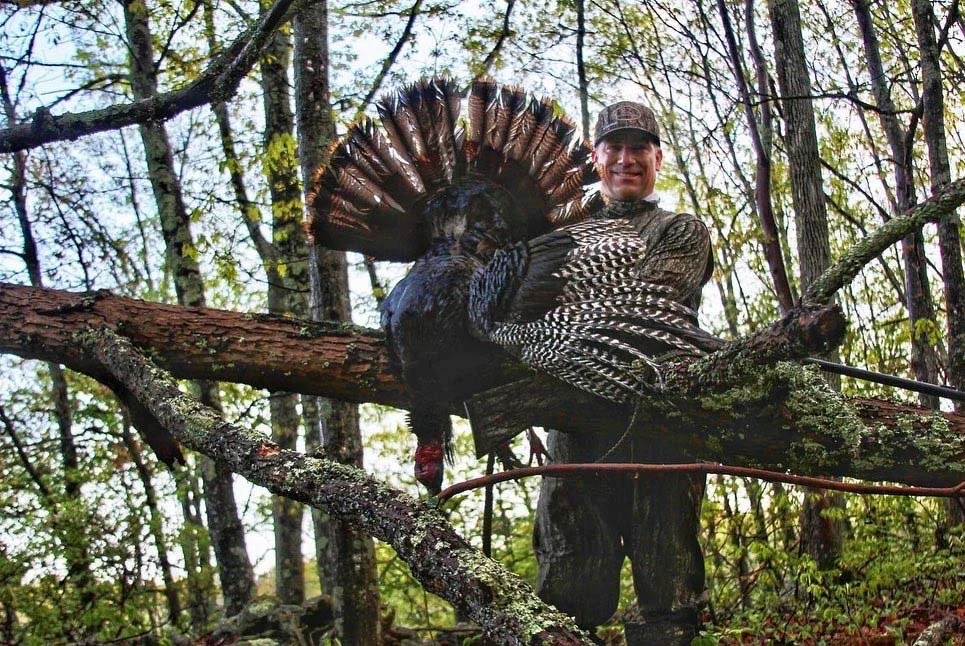 Night and day when you have cover