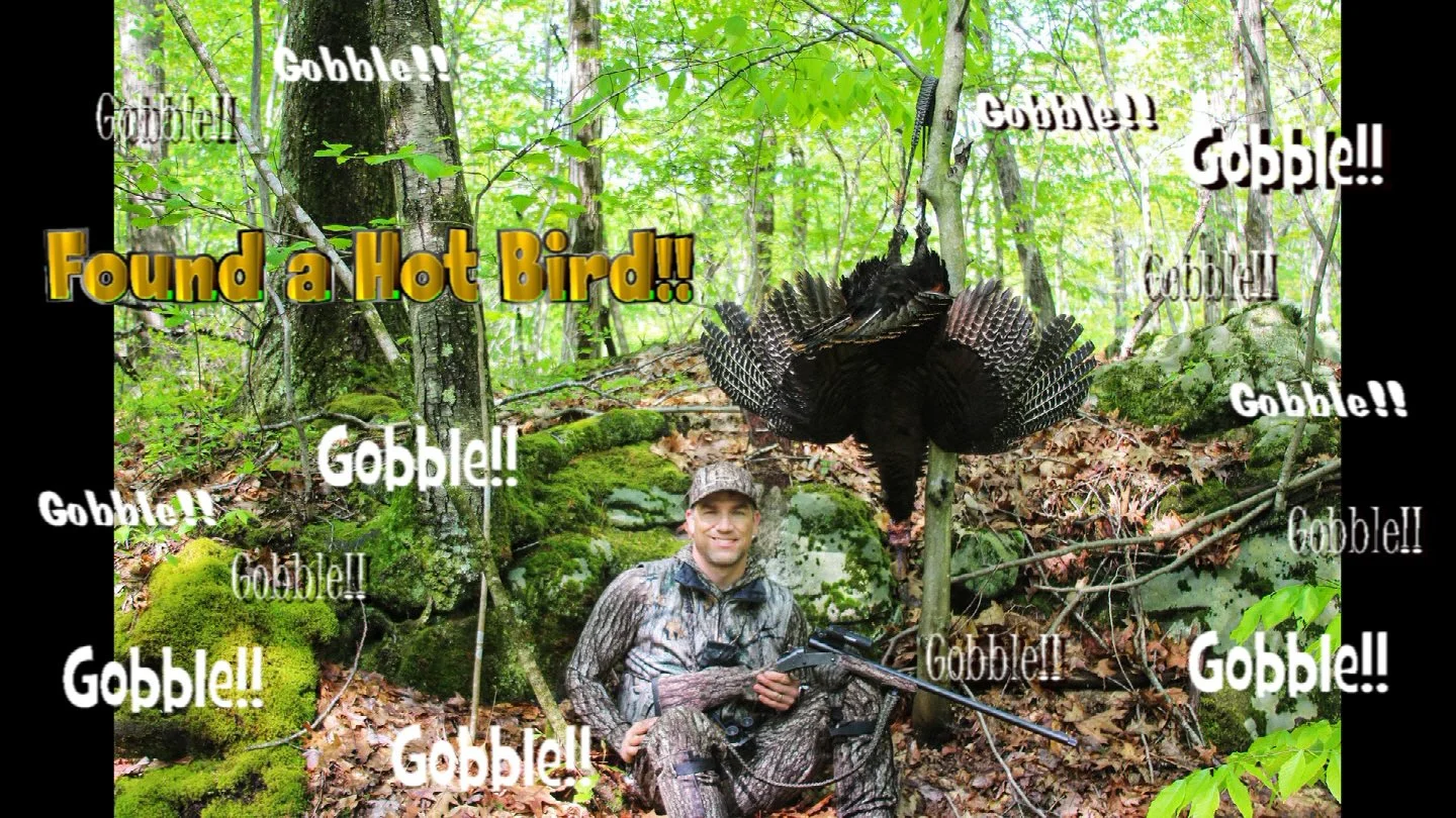 Found a Hot bird!!  Giveaway time!!