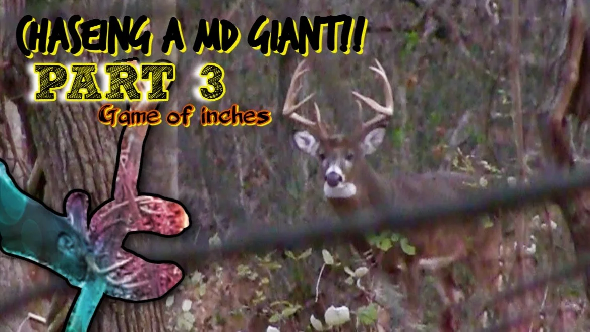 Chasing a MD Giant part III video