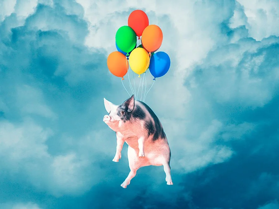 T time : 10  Professional Idioms that begin with T.