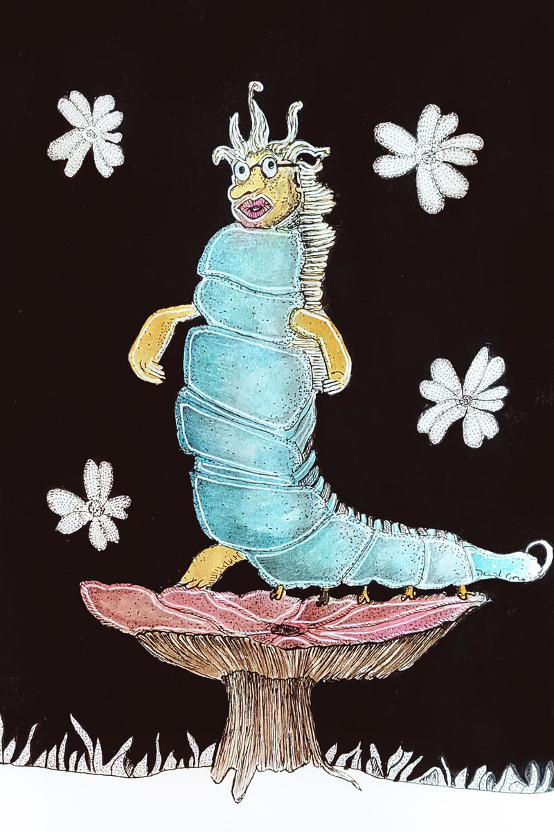 OrugaDavid-Web-03.jpg