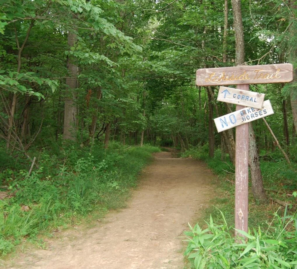 Leading the Way to a Successful Future