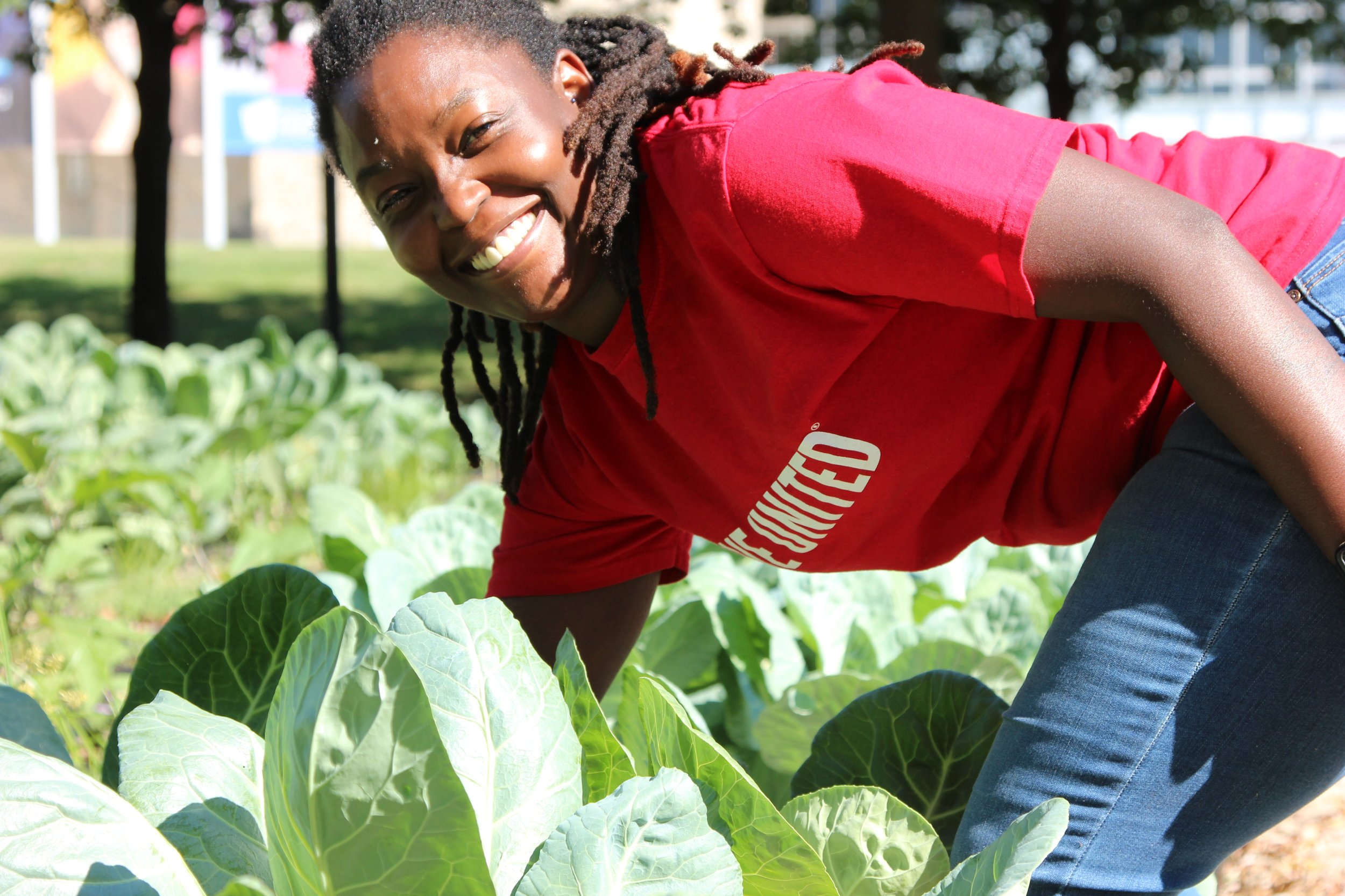  Volunteers harvest produce Sept. 9, 2021, at Growing Places Indy for United Way of Central Indiana’s first Go All IN Day. 
