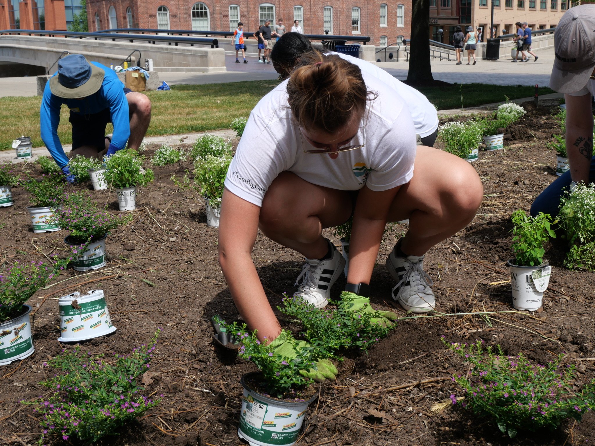  Volunteers plant flowers at Growing Places Indy’s White River State Park garden on June 24, 2022, for United Way’s Go All IN Day. Volunteers also planted tomatoes and peppers.  