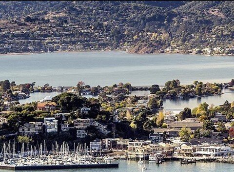 National Caviar Day, Sunday July 18....

Ferry Service to Tiburon Slow Streets and Caviar Carnival @thecaviarco from Berkeley and SF.  Bay Cruises from Tiburon