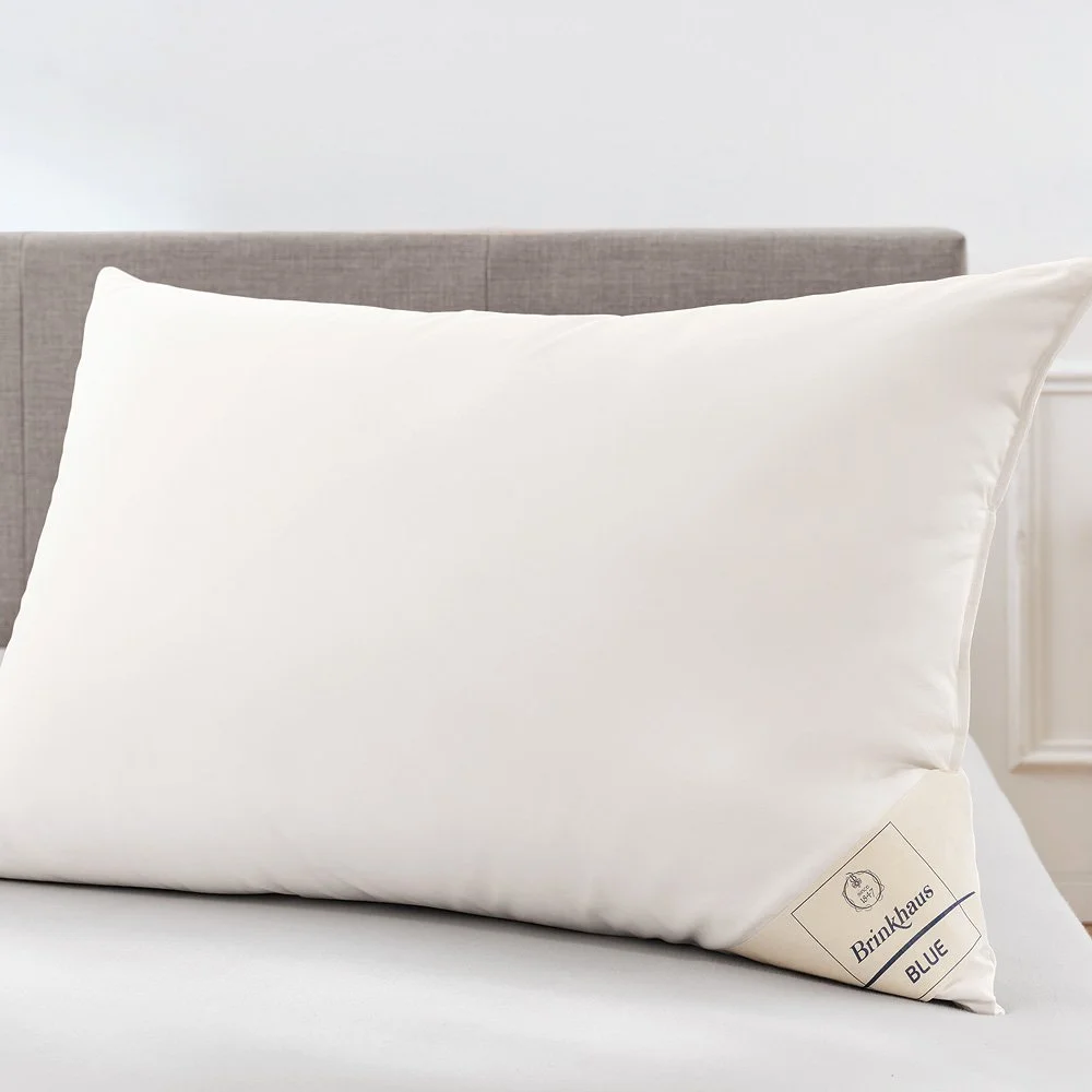 The Blue Goose Down.jpeg