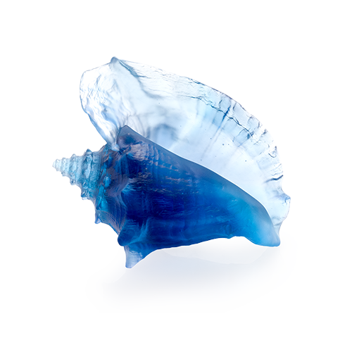 L shell.png
