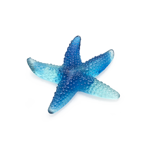 starfish 1.png