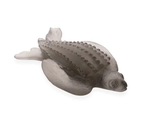 Leatherback Turtle