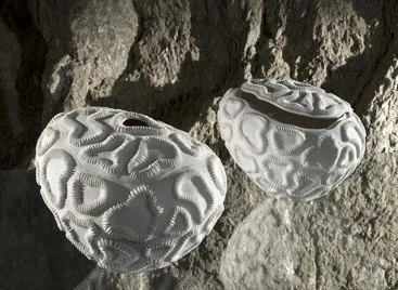 lithos .jpg