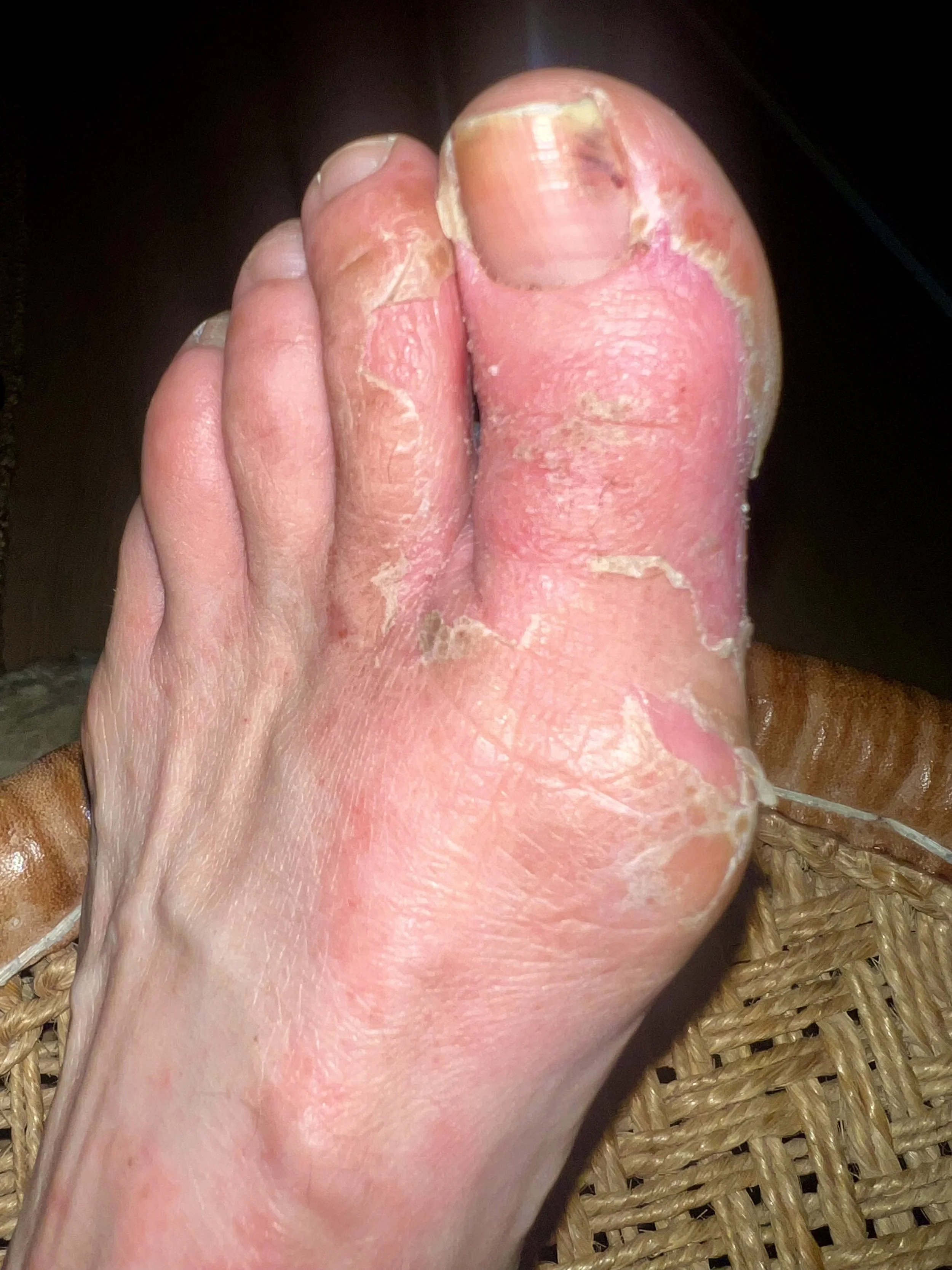 body holds the score