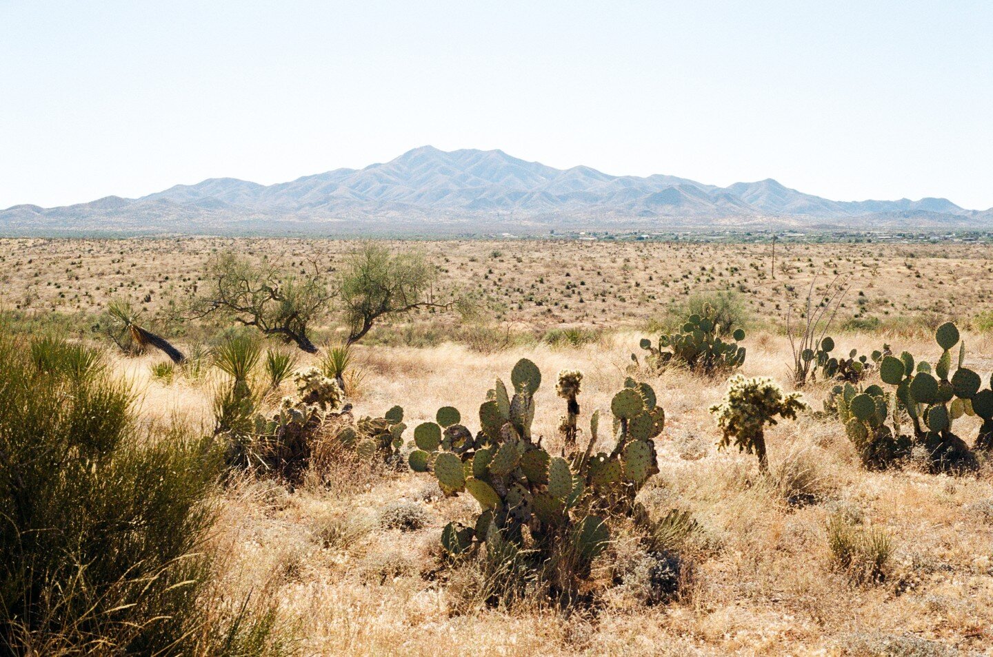 Arizona #filmphotography #kodakgold200 #NikonFE