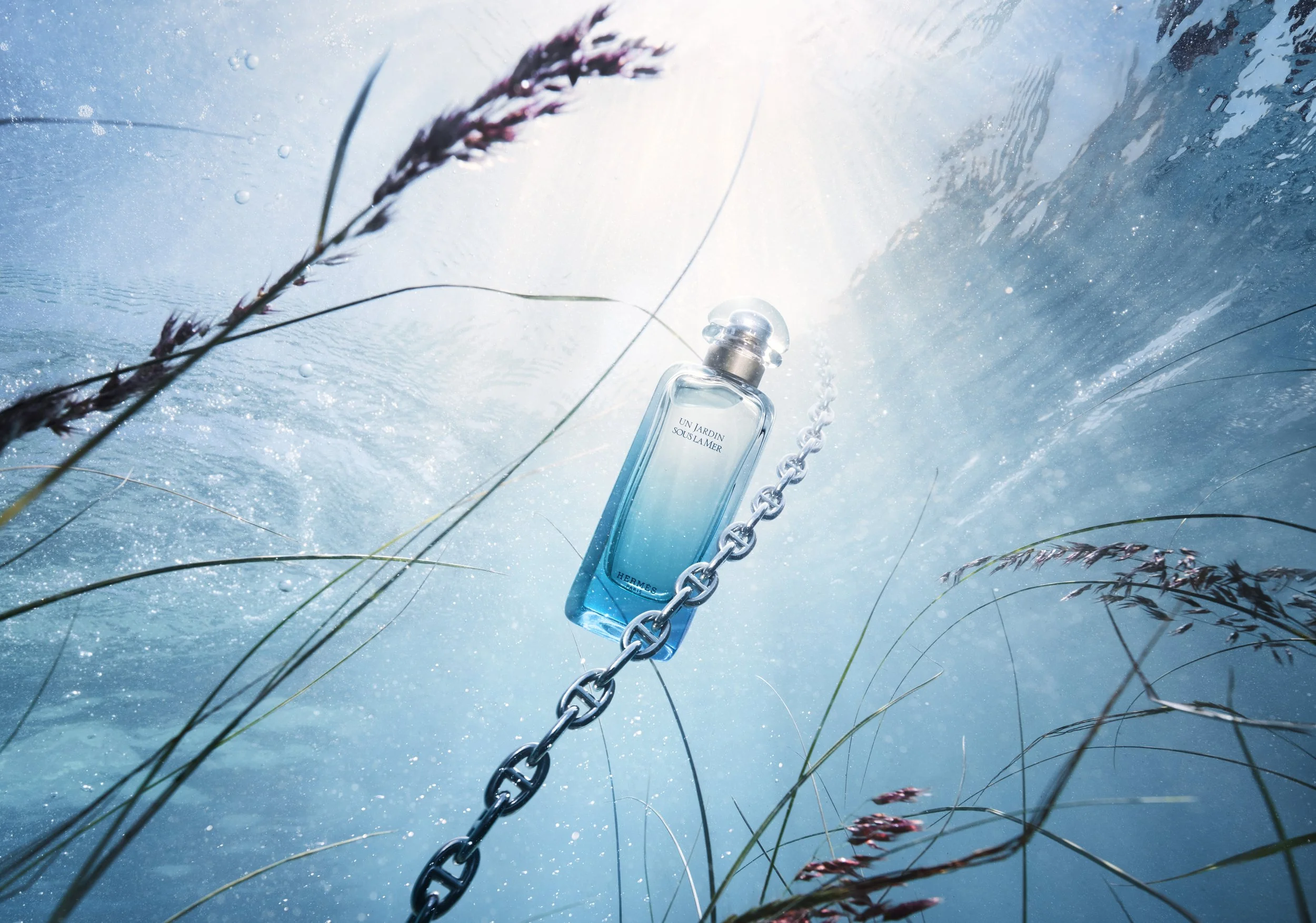 HERMES JARDIN KV DP.jpg