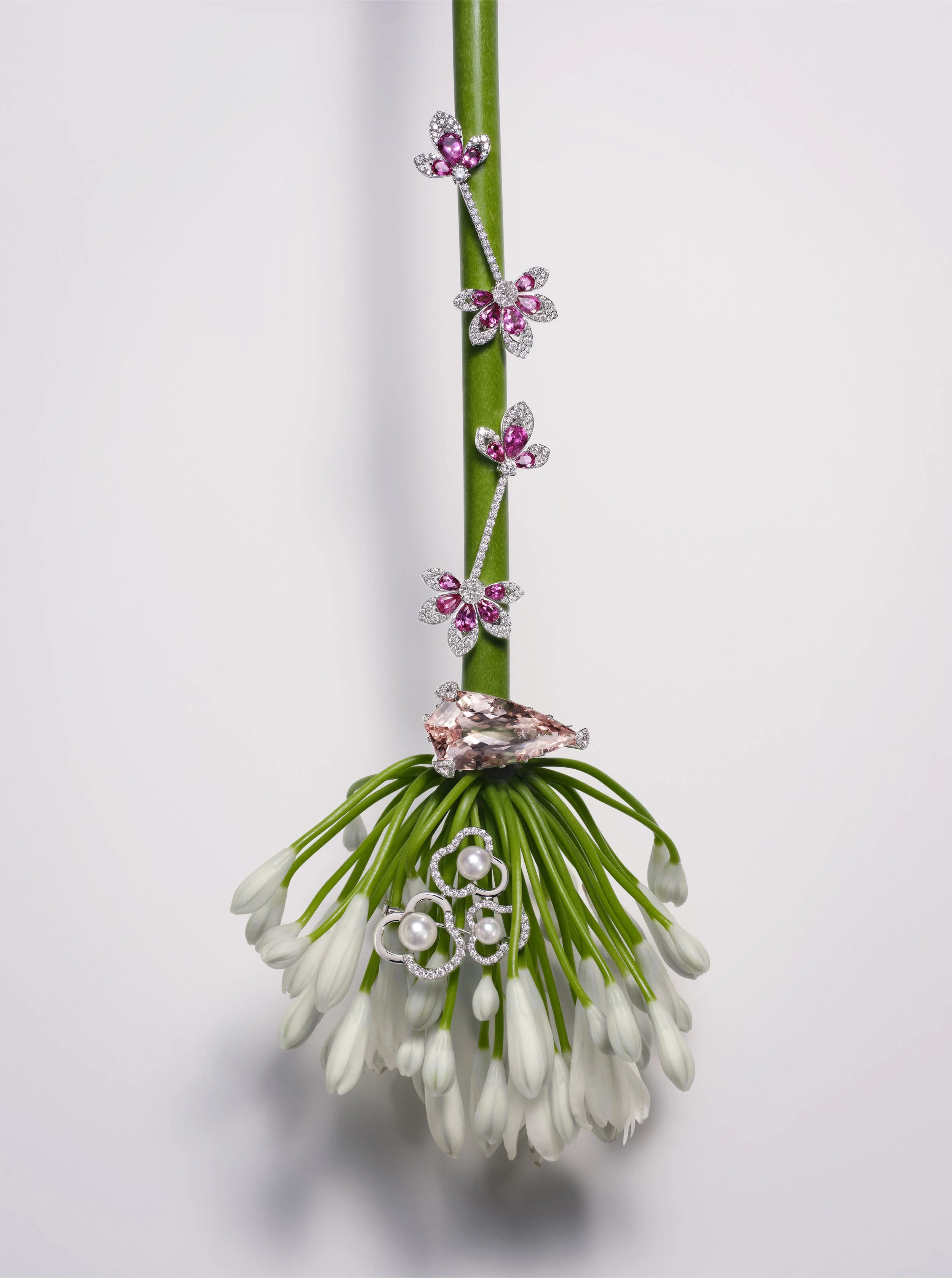 EnVols_AK_RC_T_B.jpg