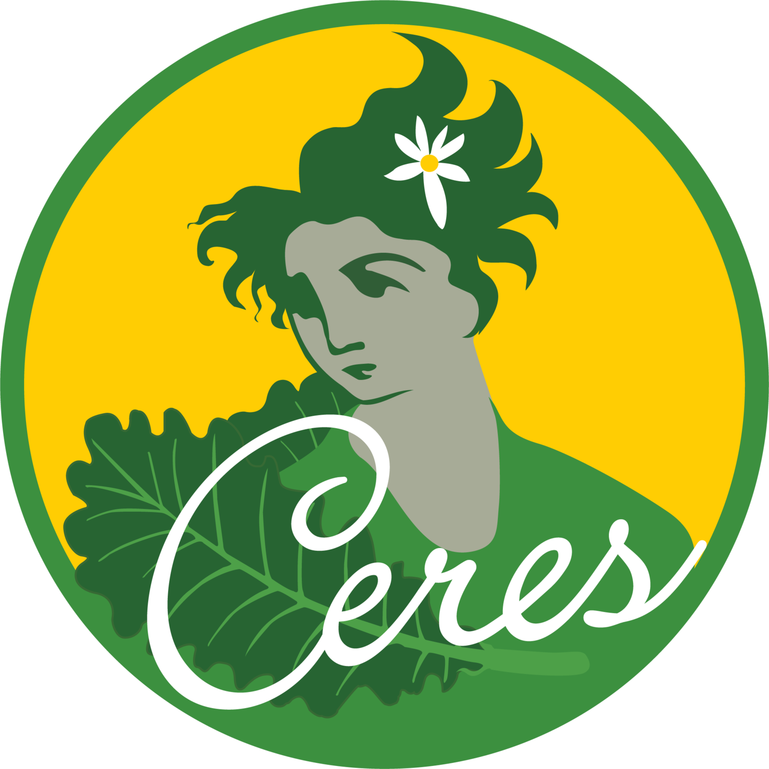 Ceres Community Project