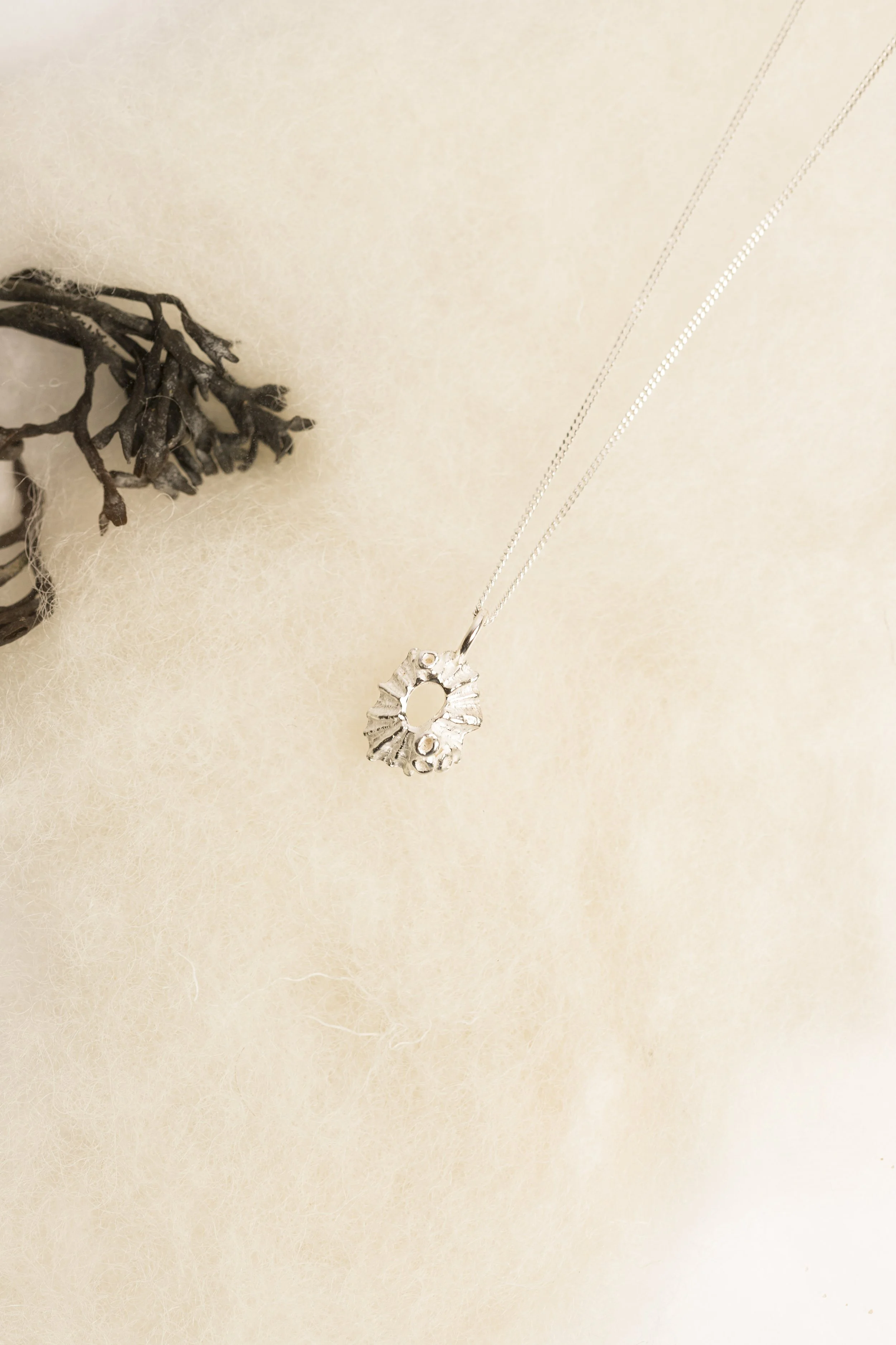 Limpet Barnacle Necklace