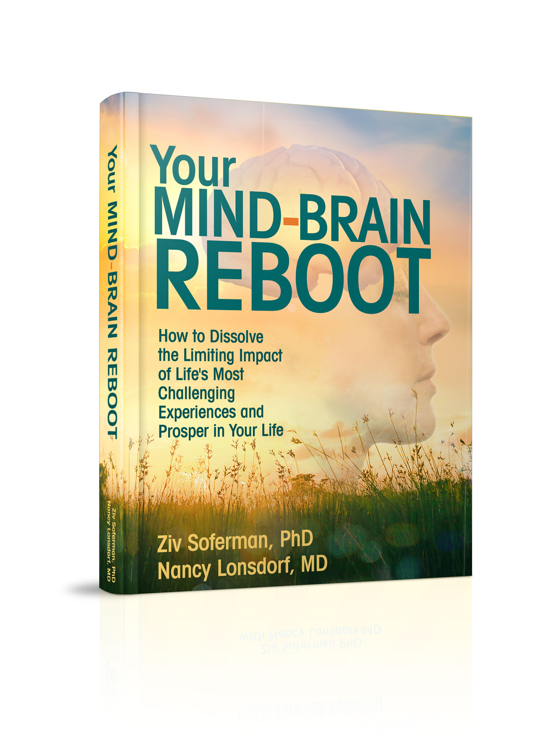BookCover-MindBrainReboot-3D.jpg