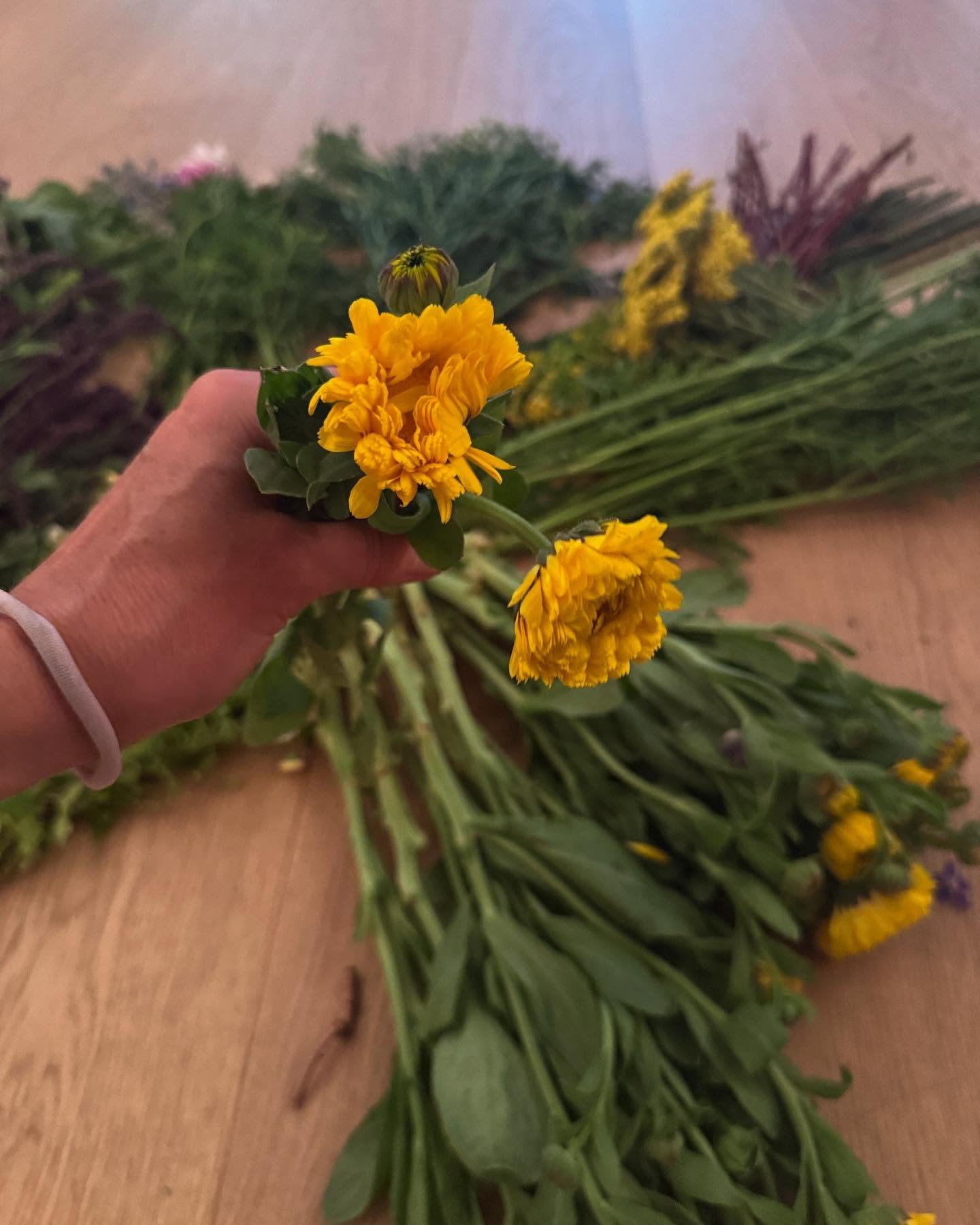 Scenes from the Flower Mandala &amp; Solstice Celebration with @electricladyflorals &amp; @artofselflove 
🙏🏽🌸🌺☀️🙌
maharose.com
🌸🌺☀️🙌
#solstice #healing