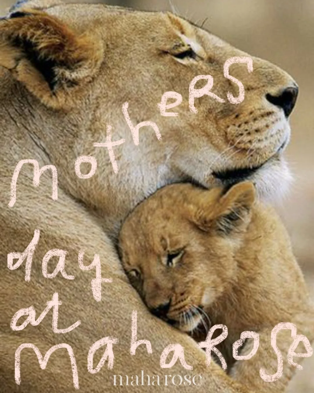 Mothers Day at Maha Rose 
🩵
Tie-dye Forever with @lisanelsonlevine 
11am - 2pm
🌈
Laughter Lab with @lisanelsonlevine 
3-5pm
🙌
Honoring the Mother: Herb Cleansing &amp; Sound with @artofselflove &amp; @bethricciardone 
6:30-8:30
🩵
#honoringthemoth