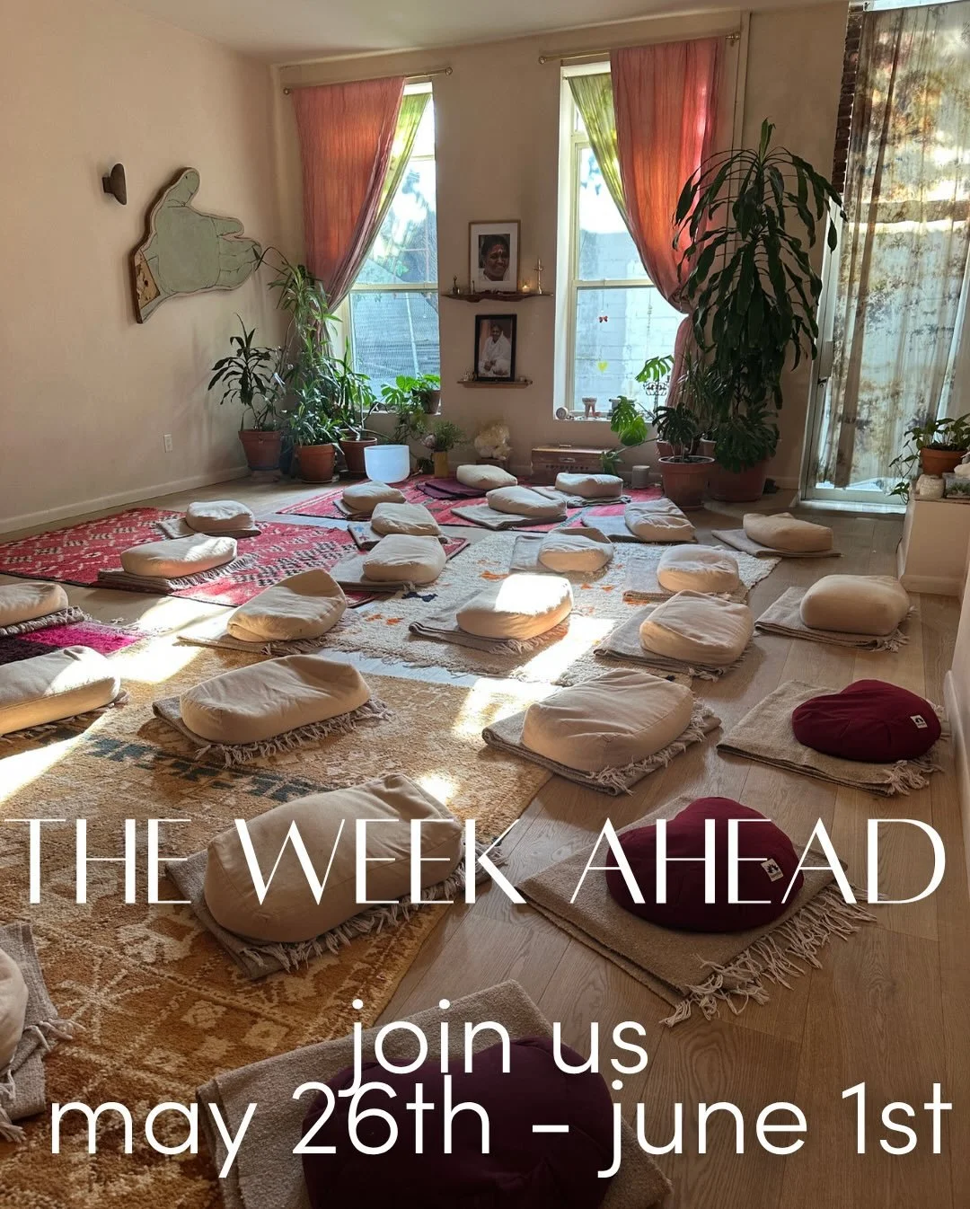 JOIN US this WEEK at maha rose

Soften Into Self with @_alexhander ~ Wednesday, May 27th

Partner Massage with @marianalocasta ~ Friday, May 29th

Reiki 1 with @erika_spring ~ May 30th &amp; 31st 

Tie-Dye Forever with @lisanelsonlevine ~ Sunday, May