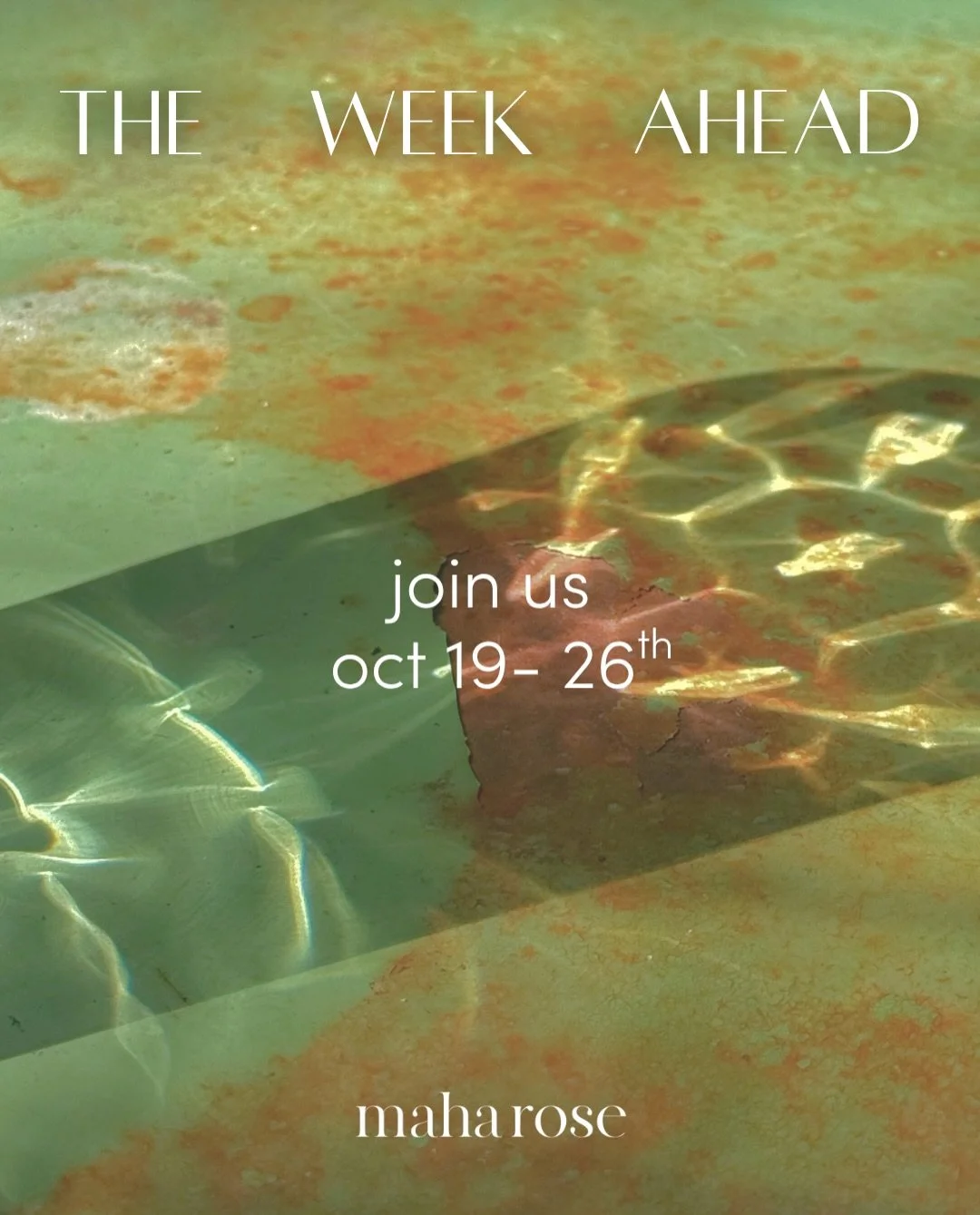 the veil is thin + so is our patience for you tricking instead of treating yourself 🍬🎃 ((kidding (mostly) because we love you 🌹&hearts;️))

come care for + treat yourself:

✨ Restorative Contact: Mindful Touch &amp; Movement
with @gabriellerevlock