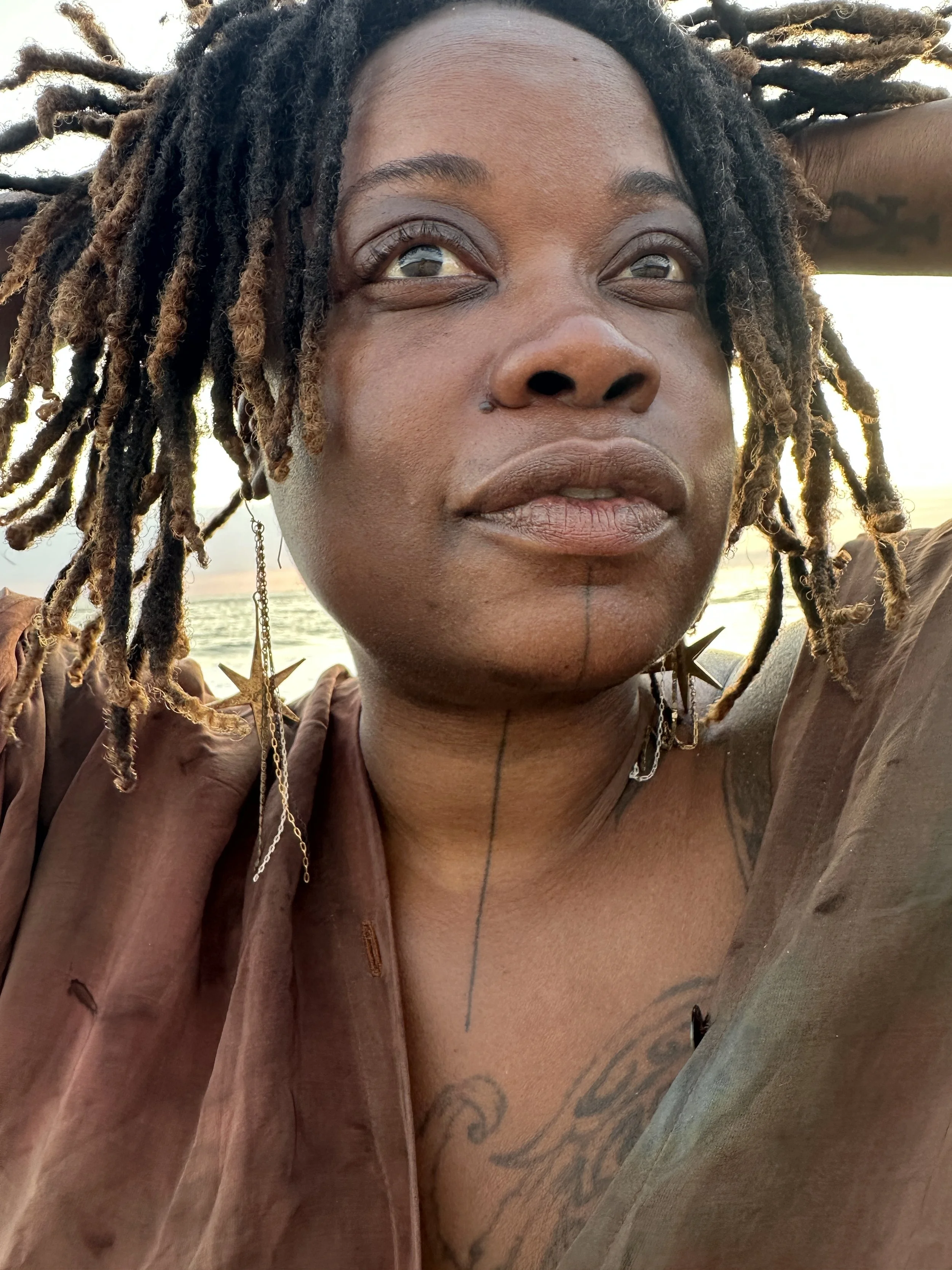 star earrings jaguar.jpeg