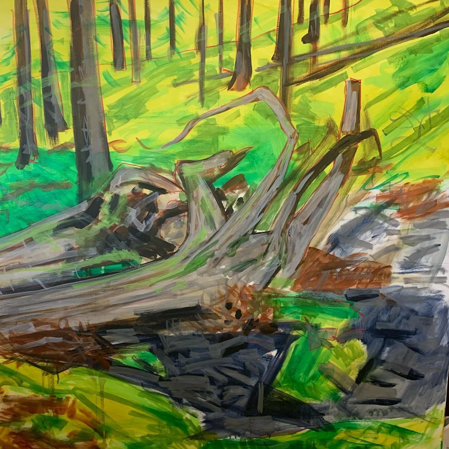 Working on a large 40x40 dry stream bed fallen tree