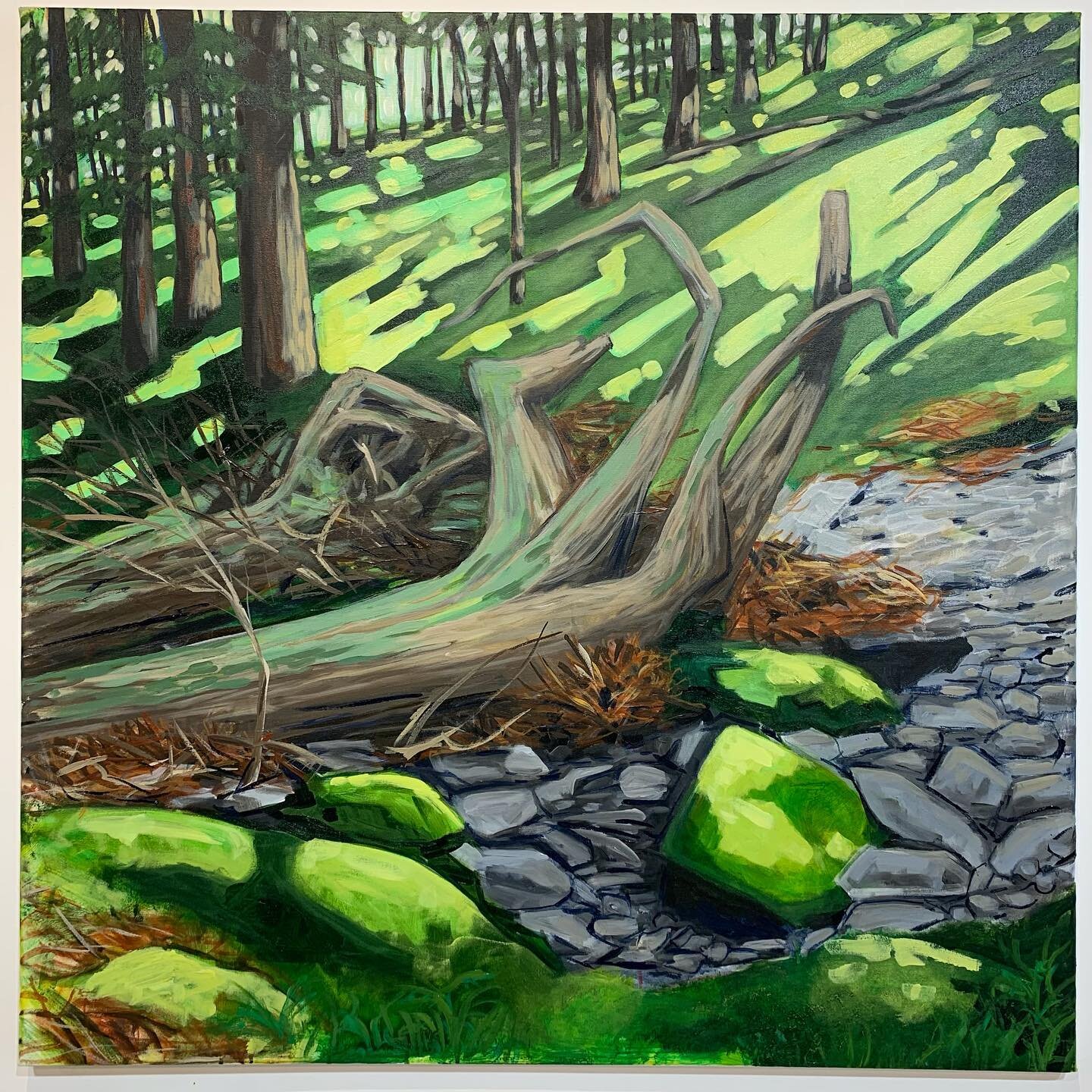 Fallen trees dry stream, Wind horse farm. 40x40 #landscapepainting #novascotia #novascotiaartist