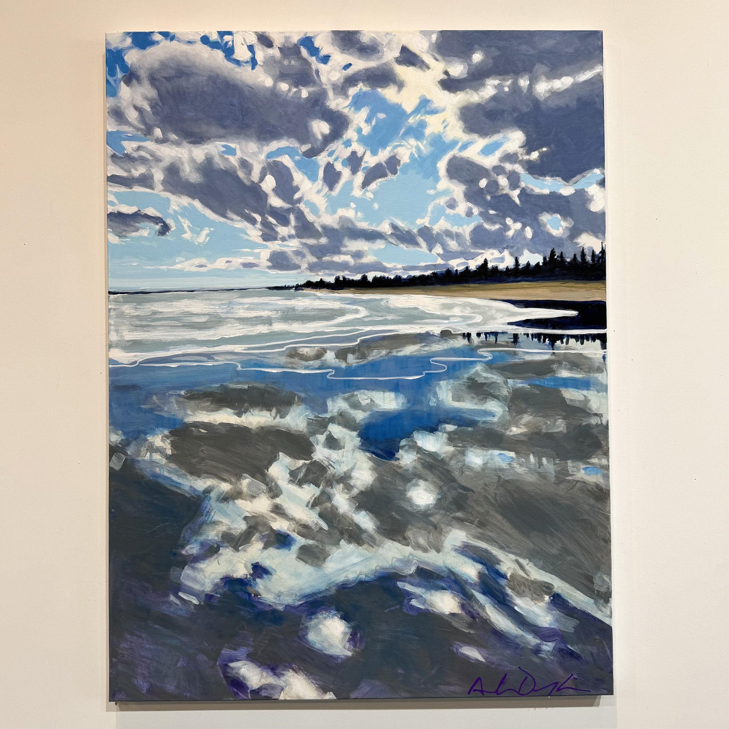 Wet sand Beach Meadows