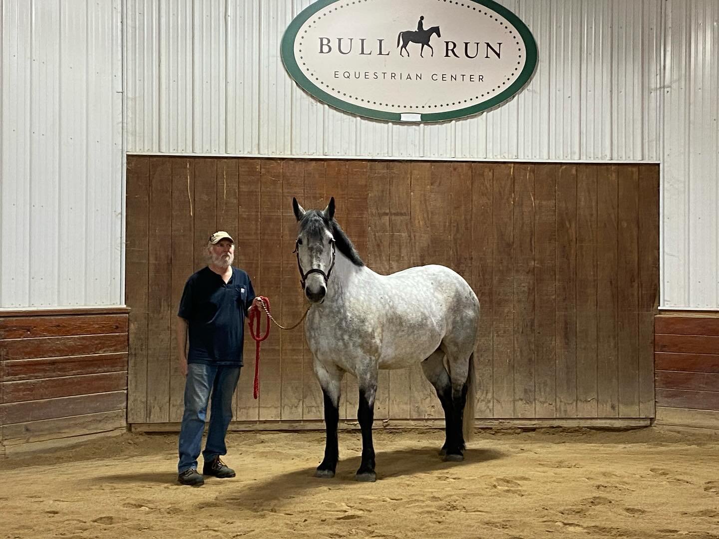We are so excited to welcome Kathy and Mike and their gorgeous horse Slade to our Bull Run fam!! ☺️💚🤍