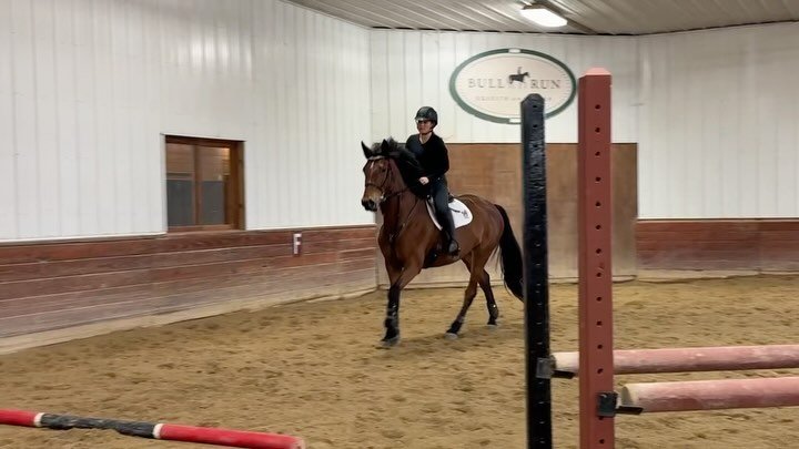 Ella and Hermes looking great in their lesson this week!! Love getting to work on the small details with Lynda 😍😍