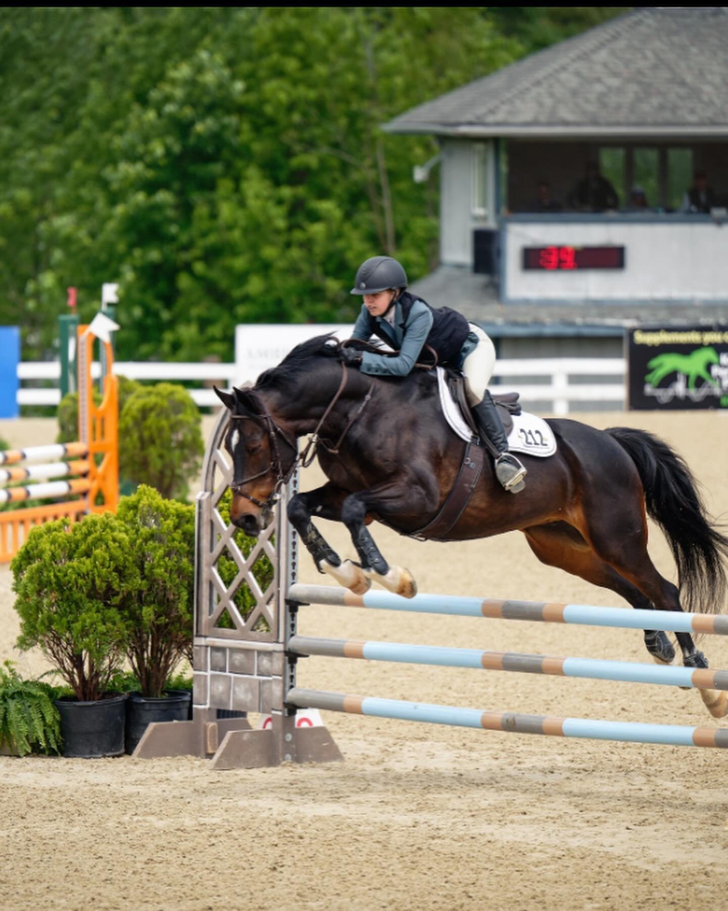 Bull Run finished up a great week in Kentucky!! Huge Congratulations to our awesome horses and riders&hellip;

🐎 Sydney and MTM Marvel had speedy rounds in the Novice Junior/Amateurs to collect multiple blue ribbons and second place!! She finished u