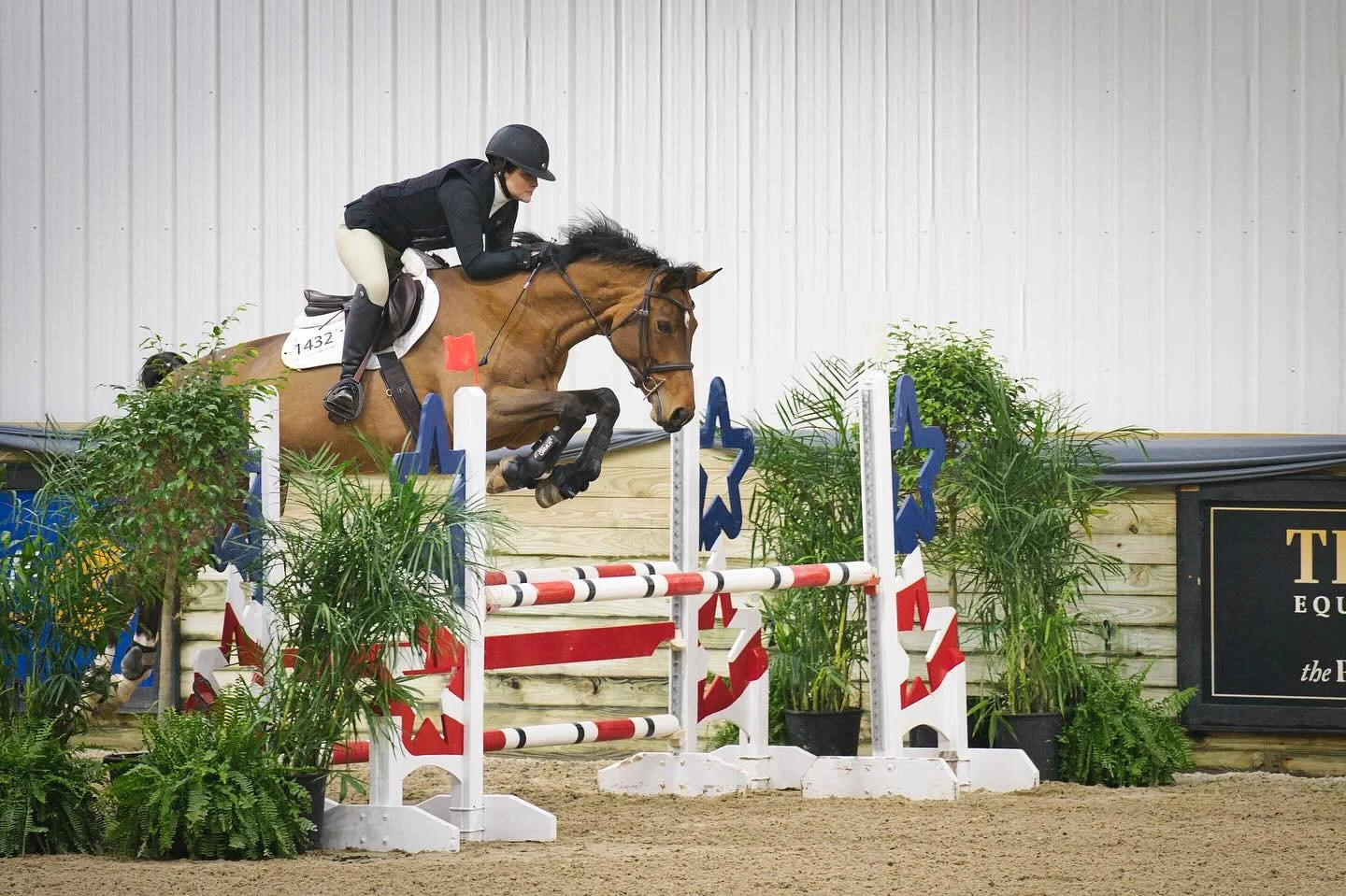Tara Beth and Sapphire Skye had a great week in the 1.0m Jumpers! This duo showed determination, improvement, and success with beautiful rounds 🤩🤩 Congrats, Tara and Skye!!