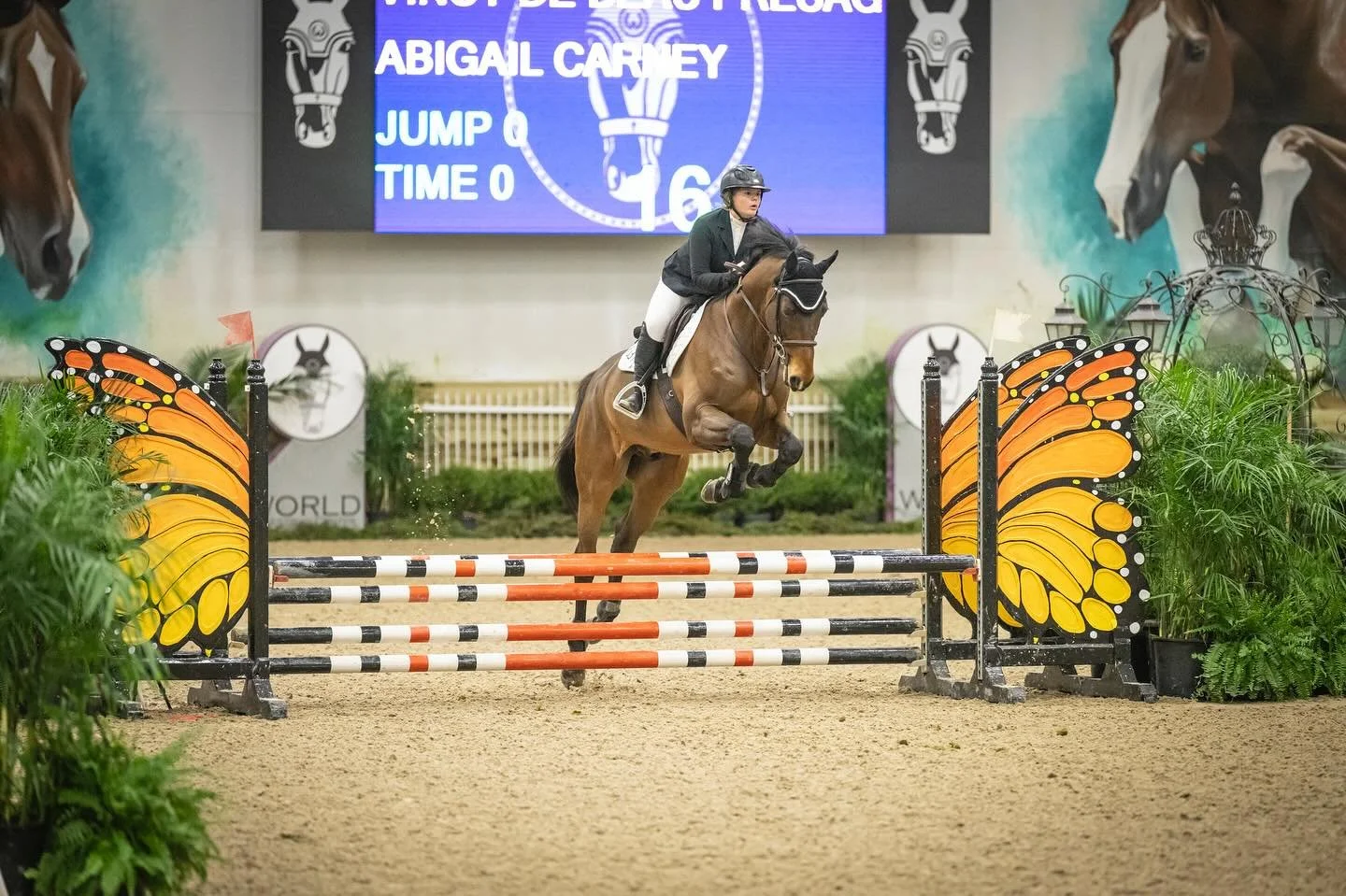 Continuing with our jumper girls&hellip; 

Abby and Vincy De Beau Presage were great in the .80s!! This duo had great rounds for their first time at WEC! Congrats Abby 💚