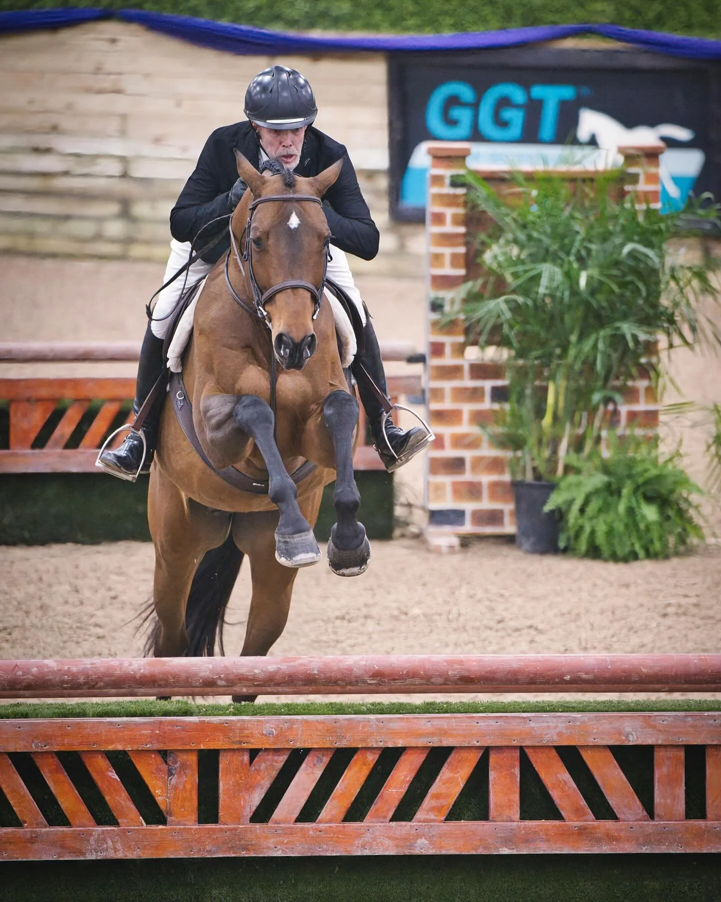 Starting off our WEC posts with a HUGE thank you to Doug Boyd for such an awesome week!! Highlights included:

💥 Multiple blue ribbon rounds on Vincy De Beau Presage 

💥Blue ribbon round for Something to Talk About&rsquo;s first time in the jumpers
