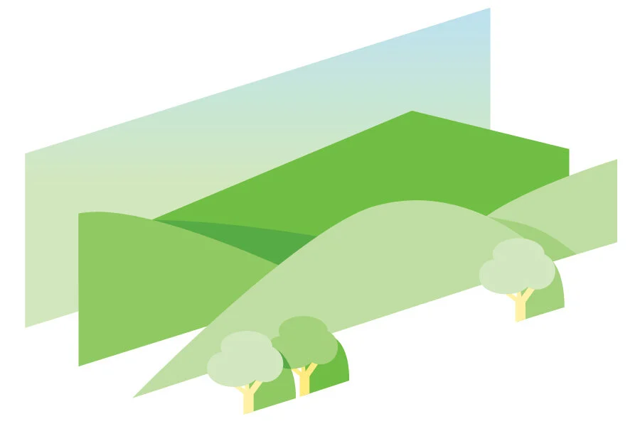 Illustration layers.jpg