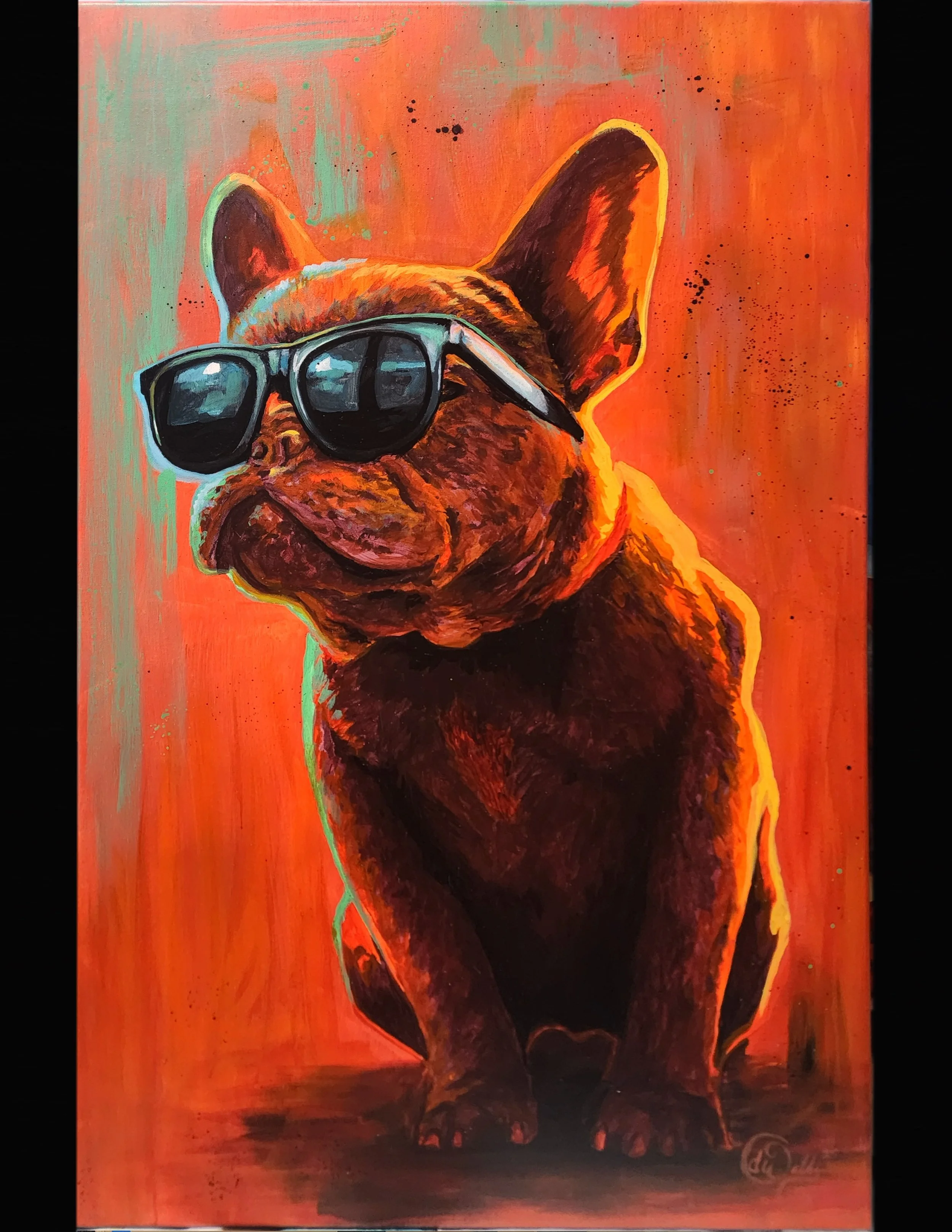 Cool Frenchie.jpg