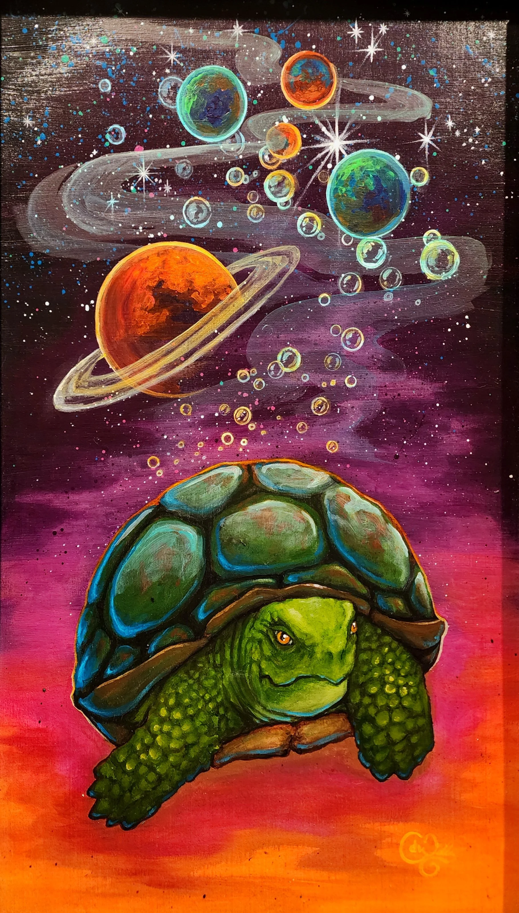 Space turtle.jpg