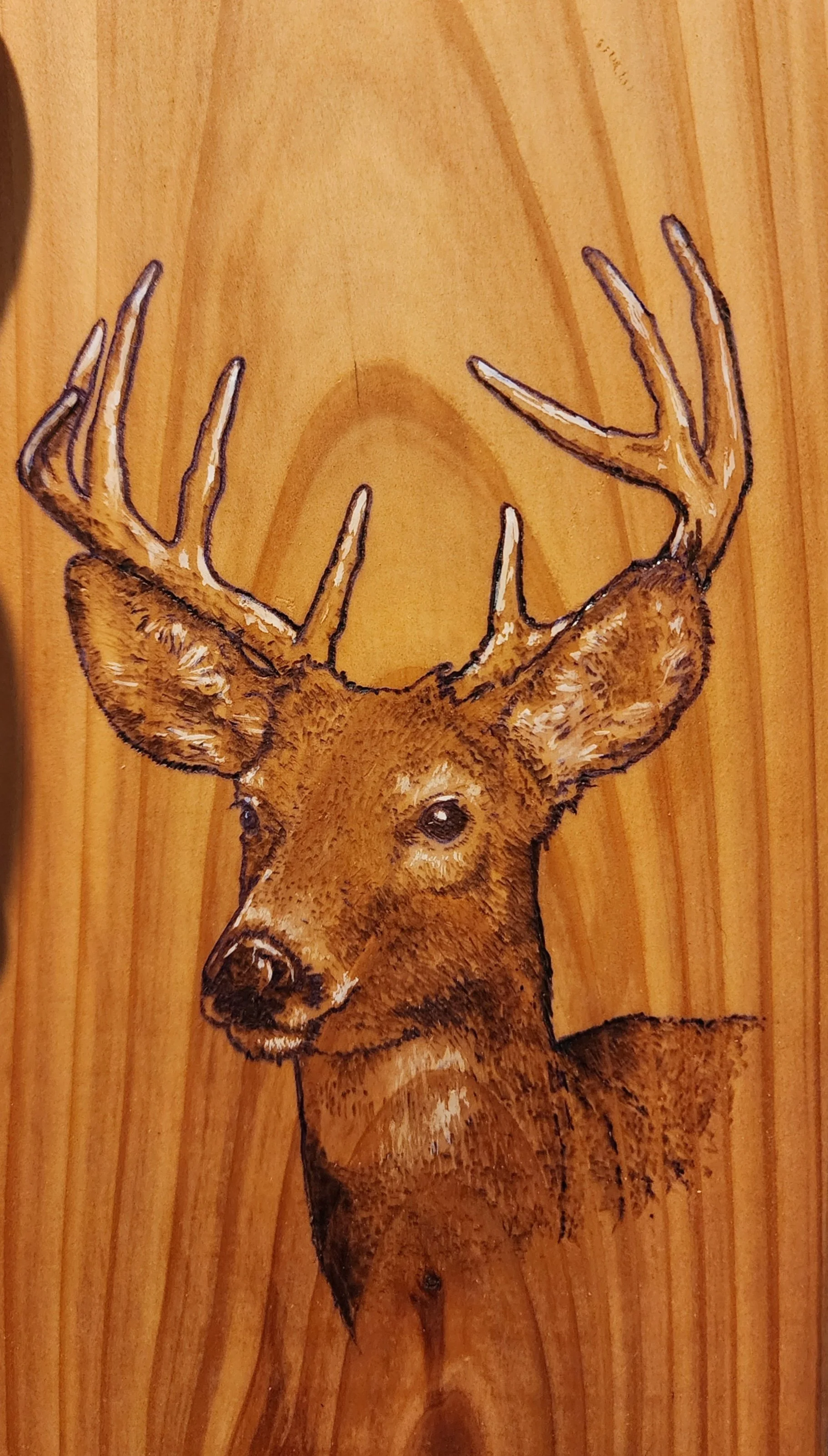 Wood burn dear.jpg